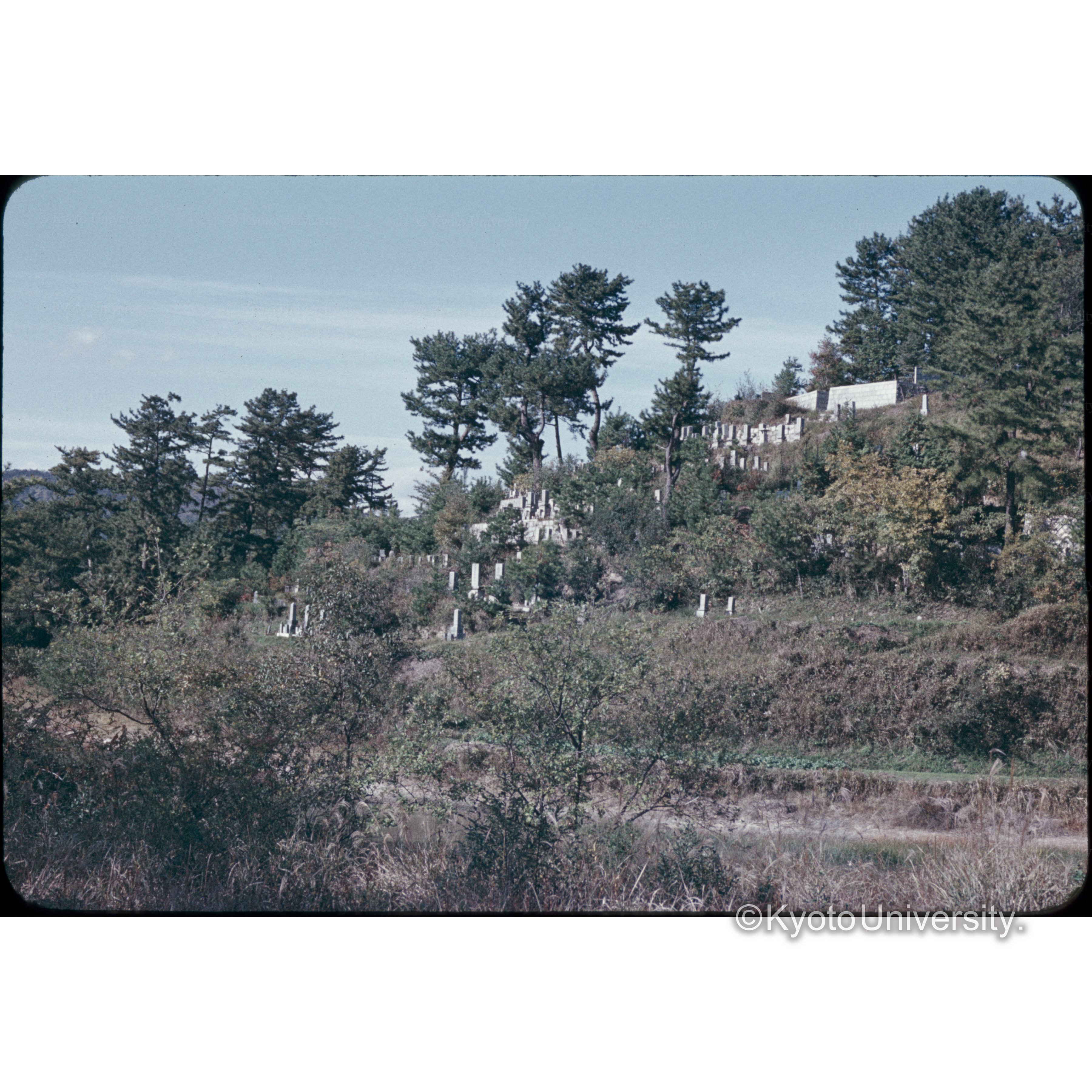 児島市運動公園予定地 (1)