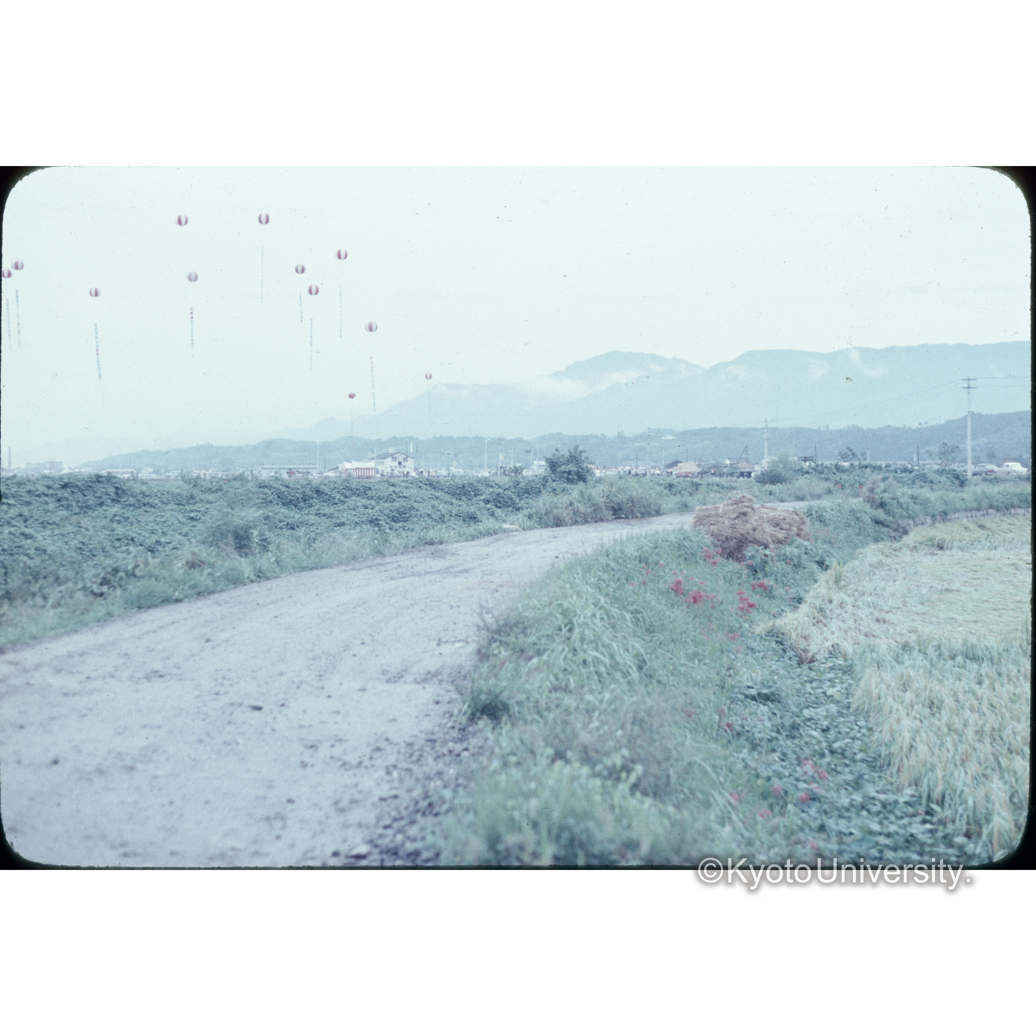 ビワ湖大橋開通開通日 (1)