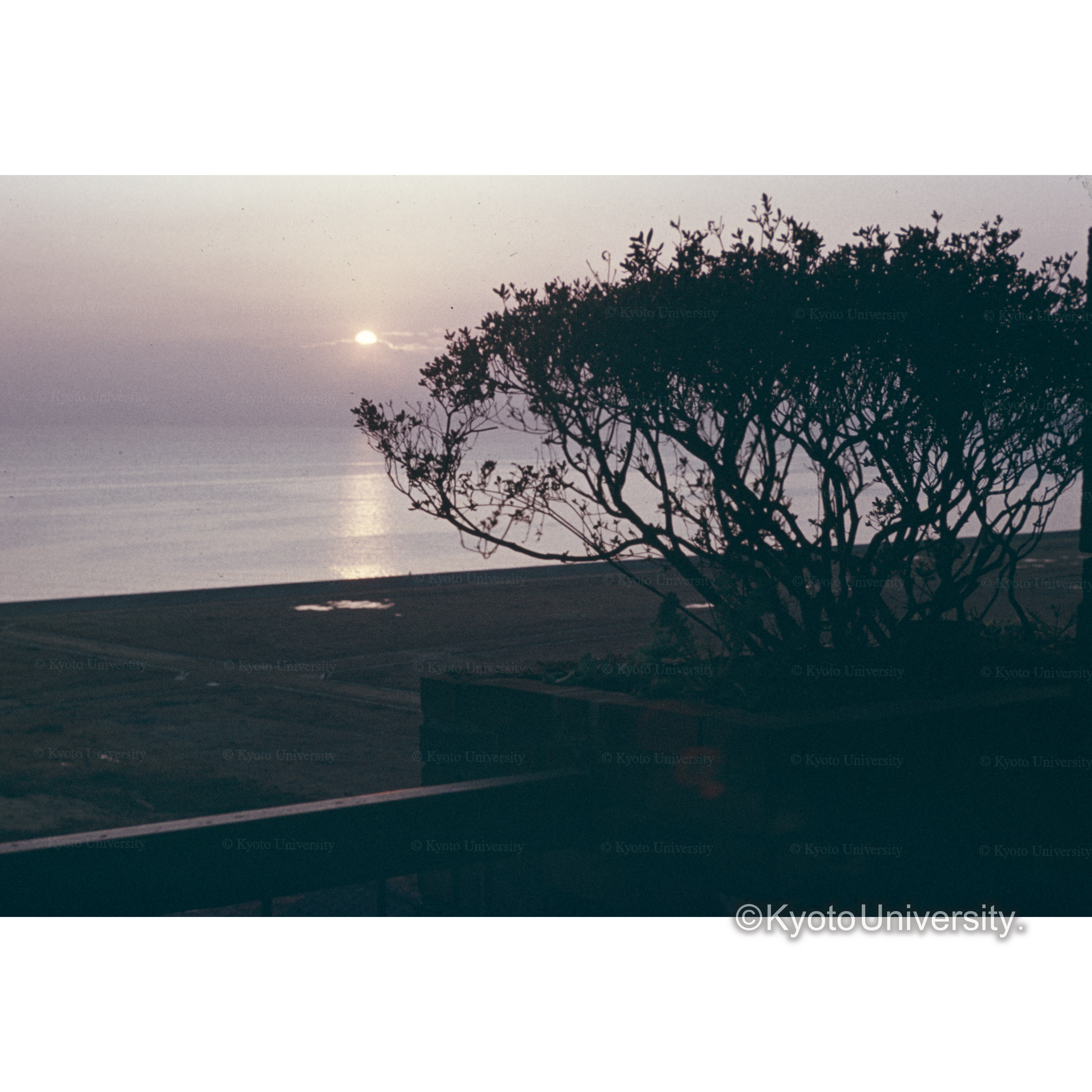 児島市の夕景 (1)