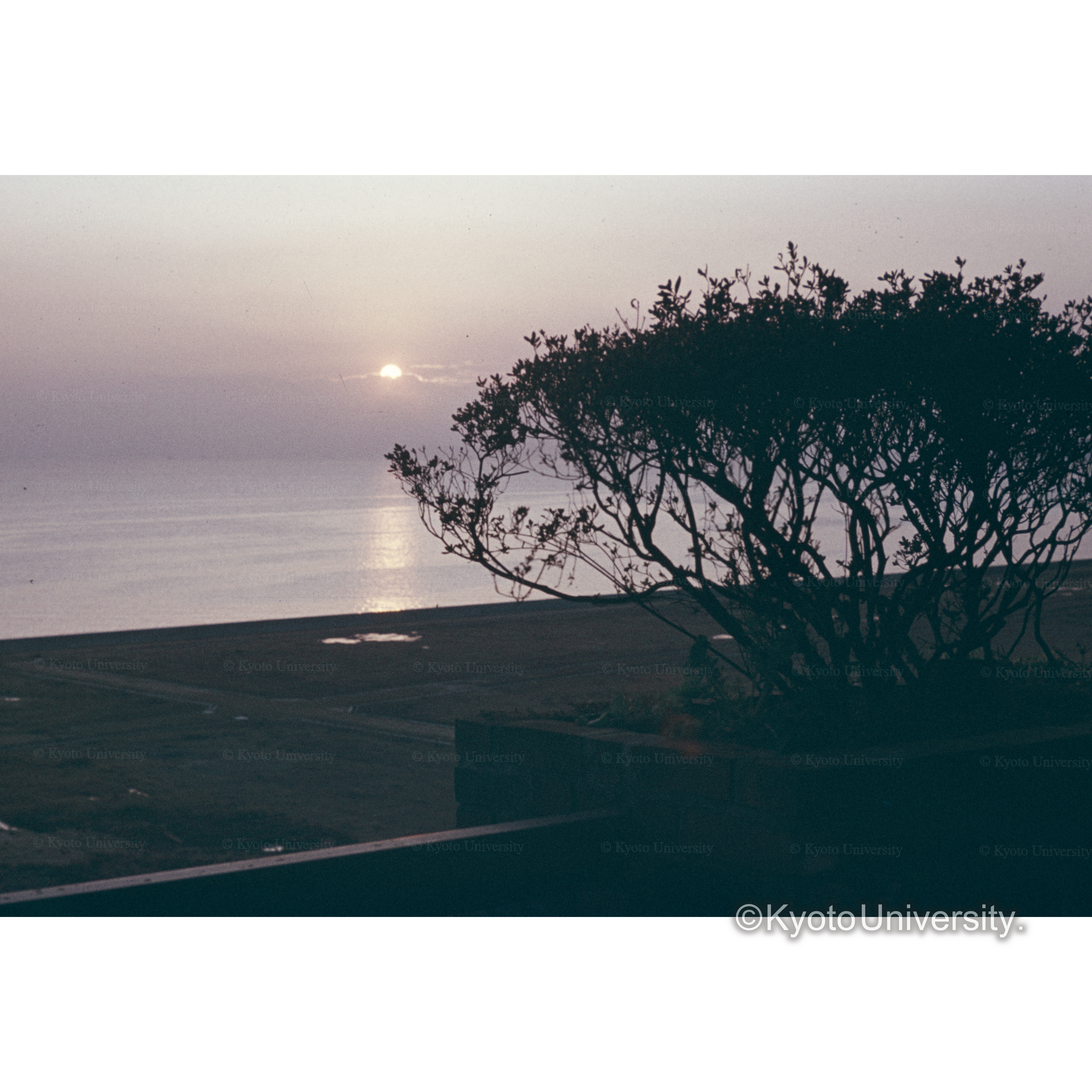 児島市の夕景 (1)