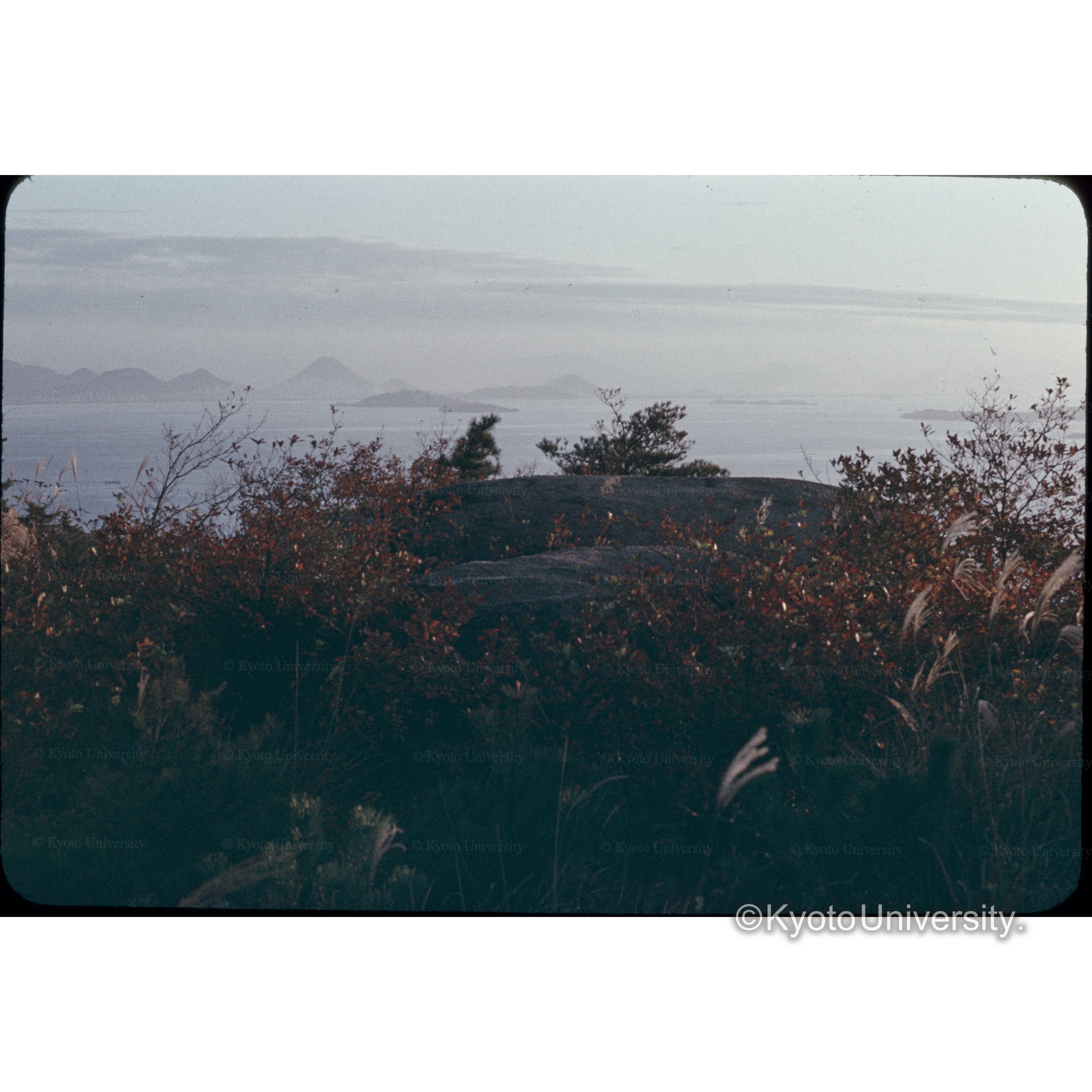 児島市王子山 (1)