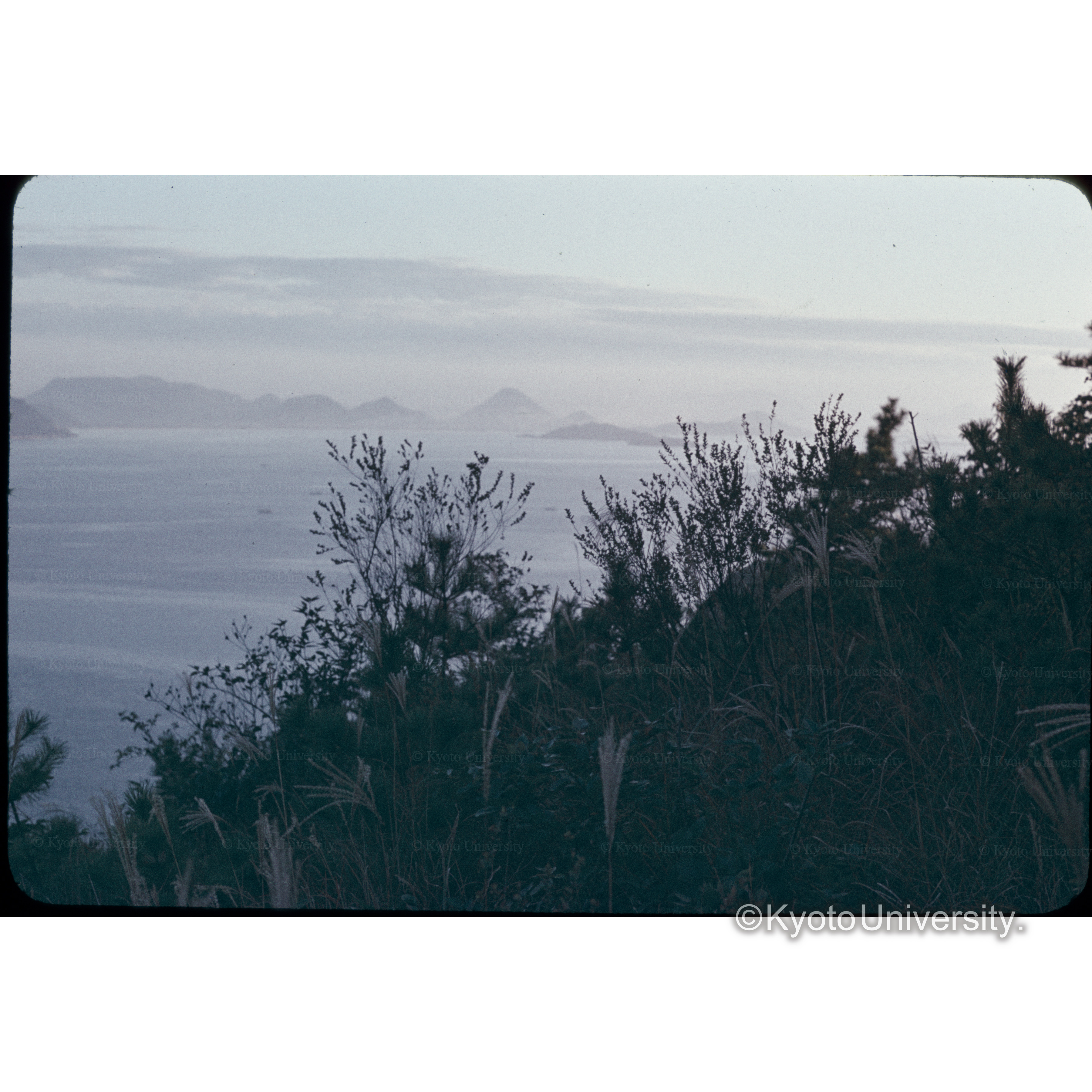 児島市王子山 (1)