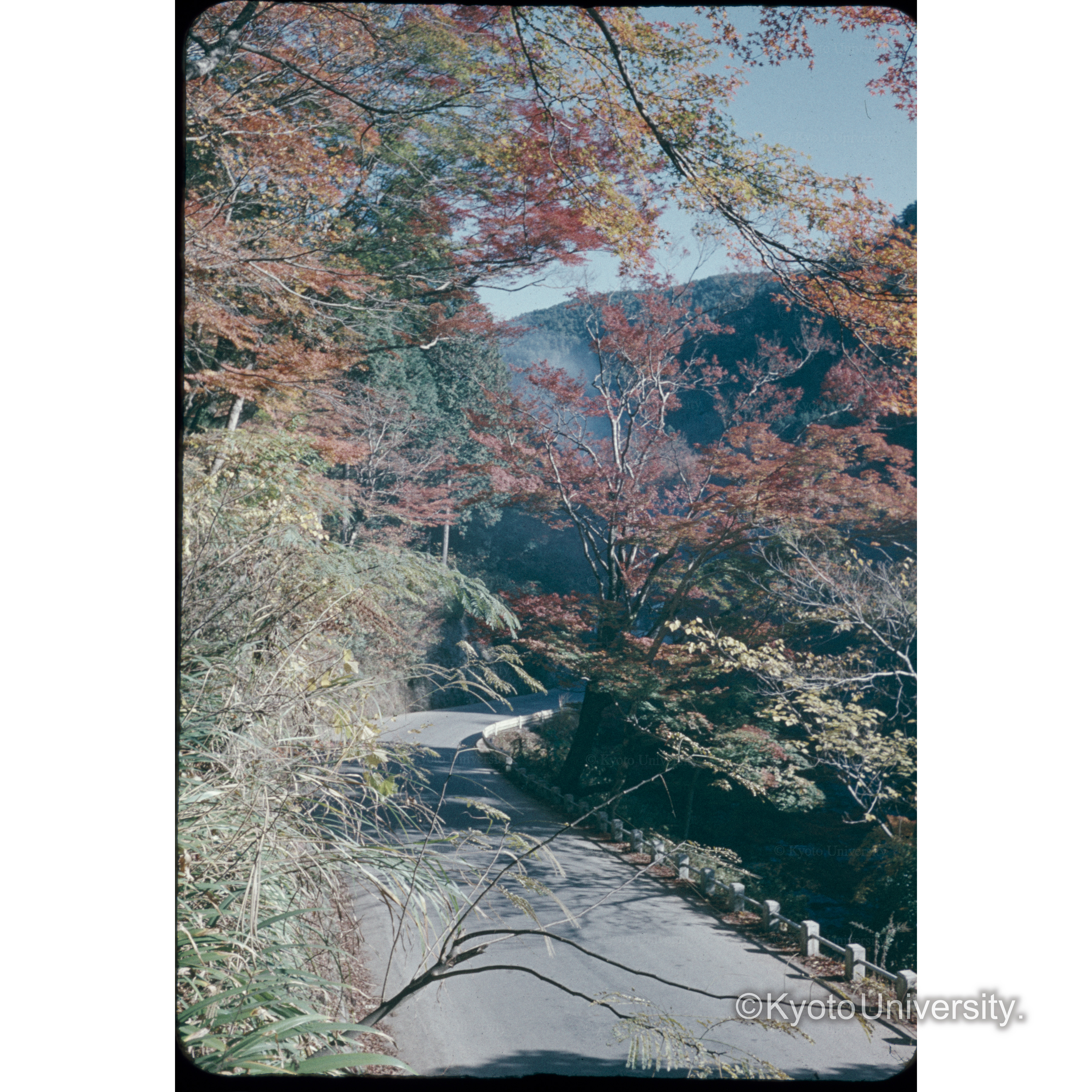 安土城〔見え消し〕 (1)