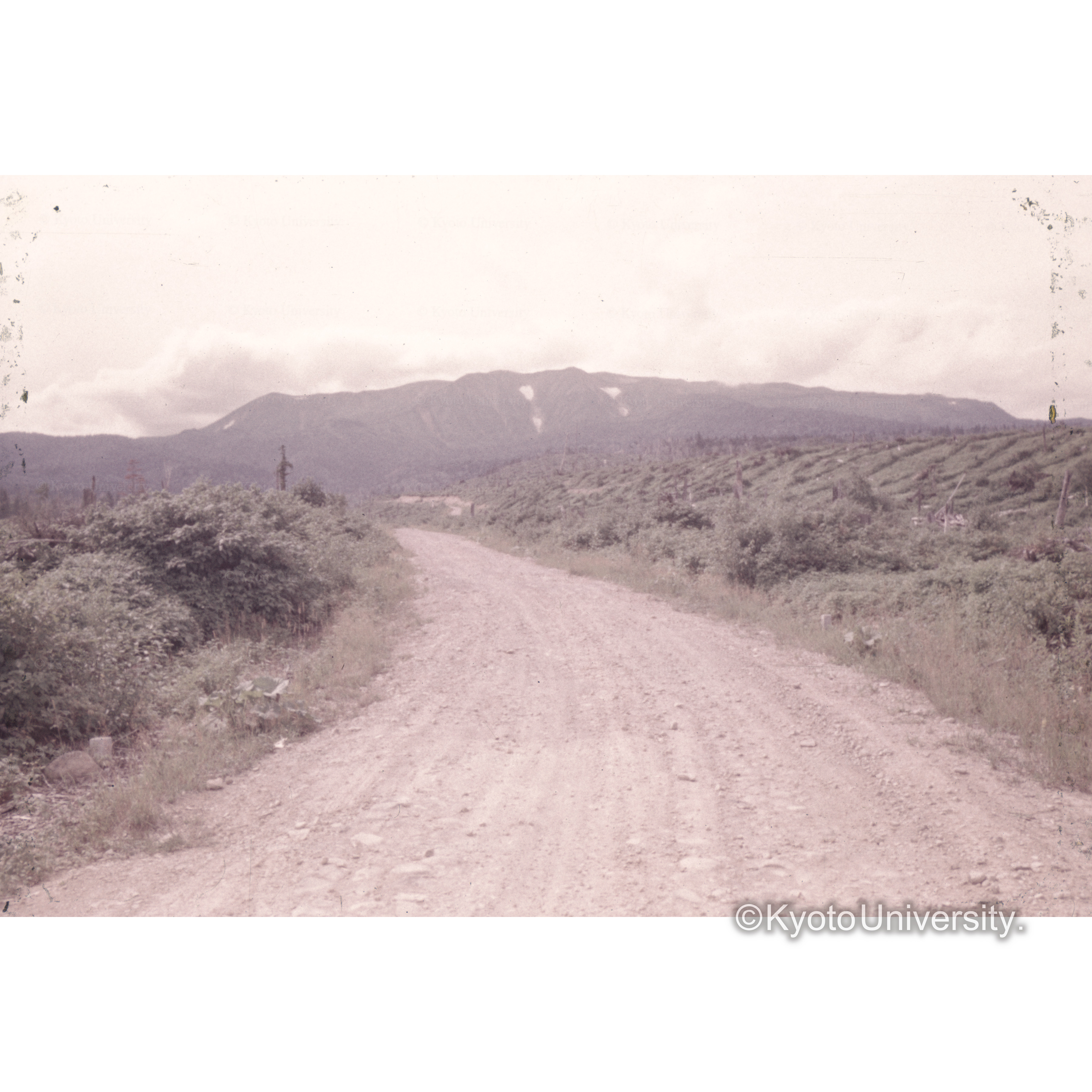 伊豆半島？〔見え消し〕 (1)