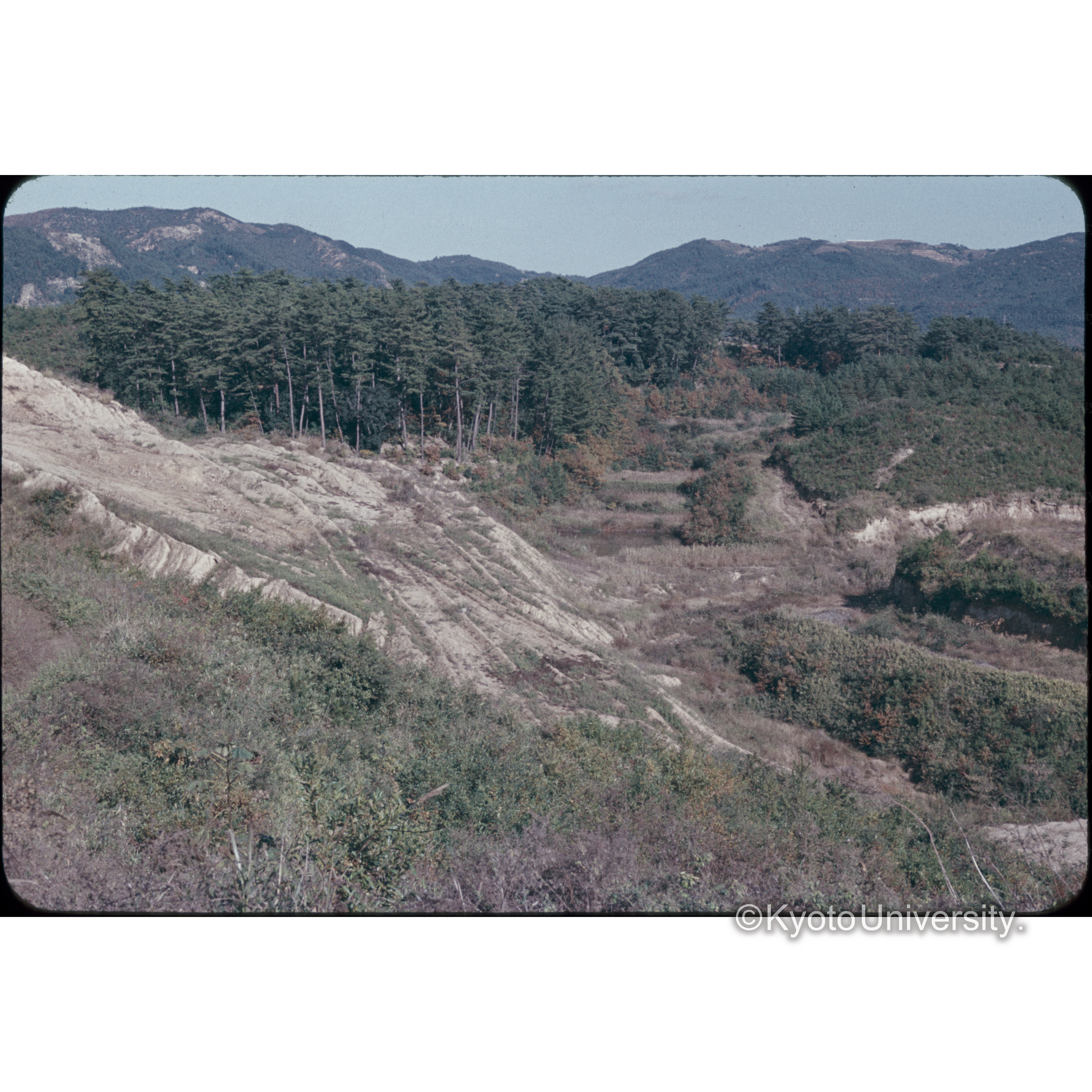 児島市運動公園予定地 (1)