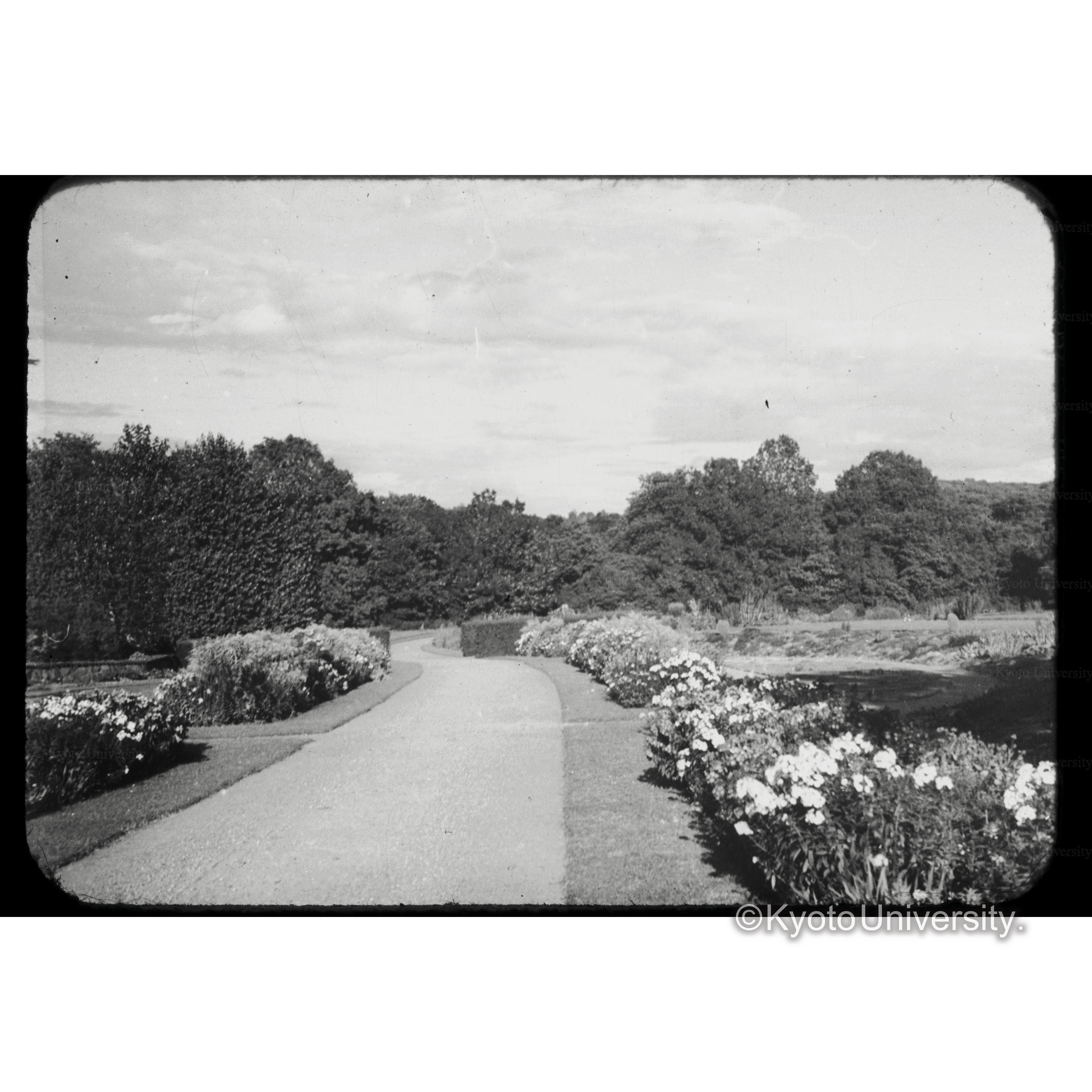 植物園　Goteborg sk 10.34 (1)