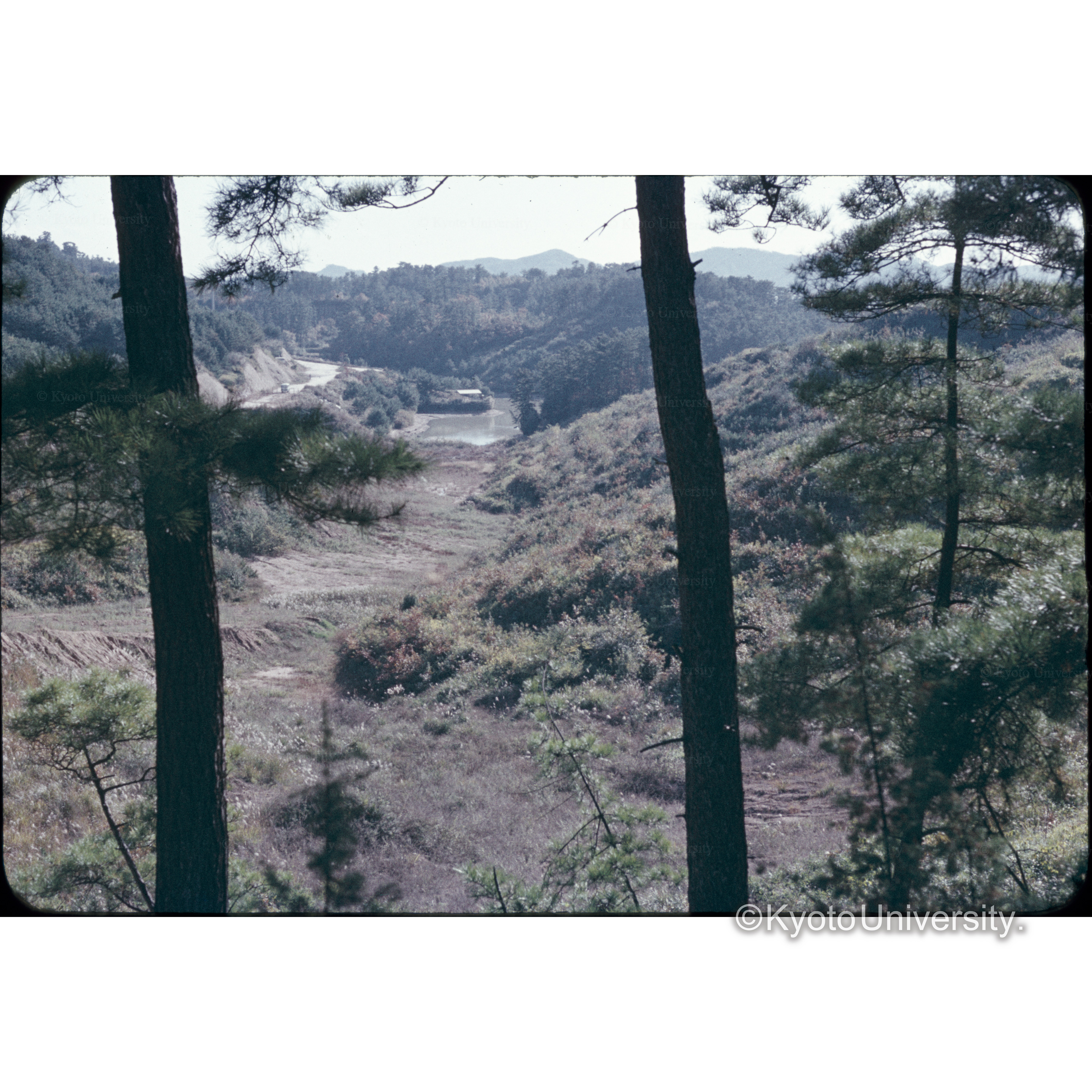 児島市運動公園予定地 (1)