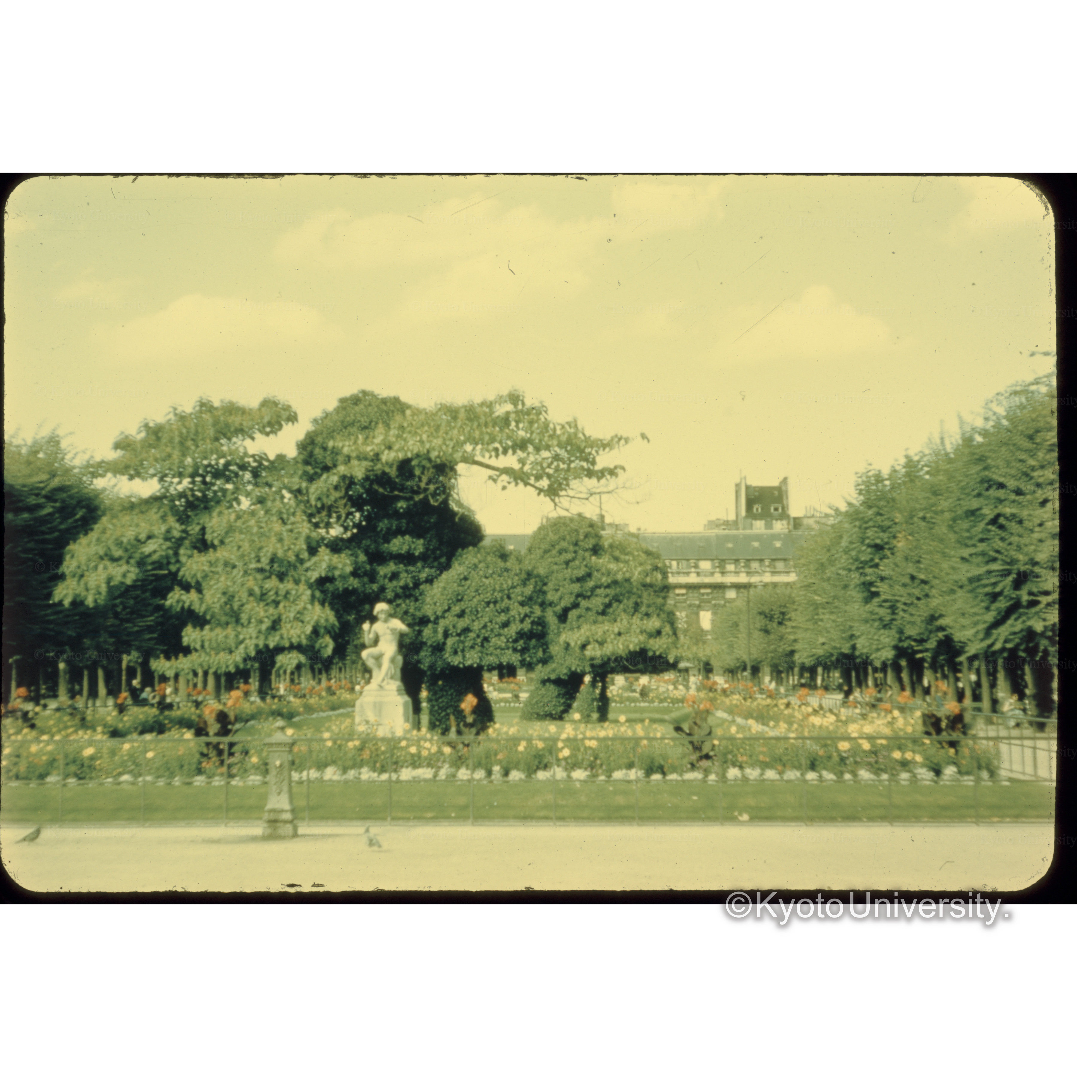 パレ・ロワィヤールの庭園（パリ）（フランス） (1)