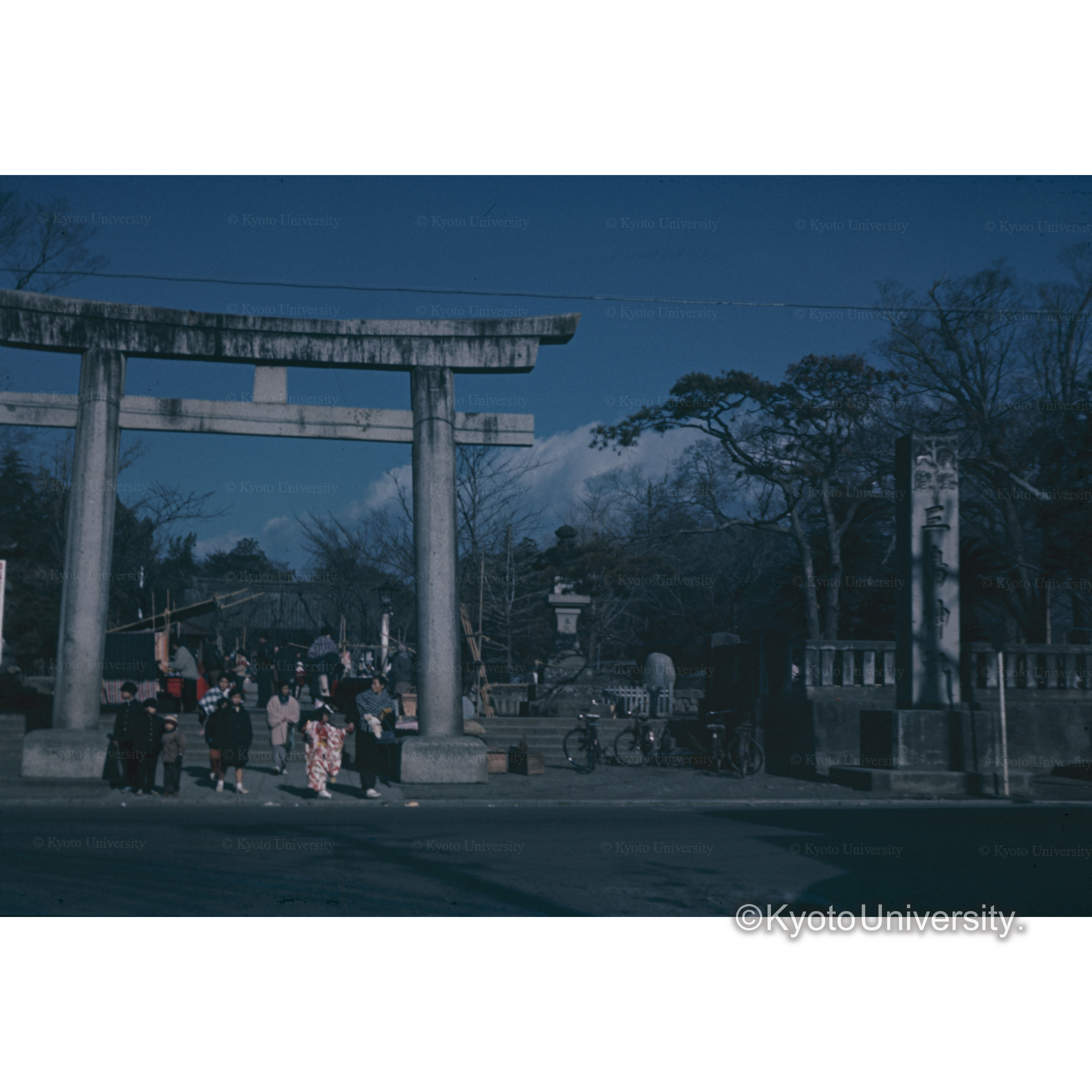 〔三島神社鳥居〕 (1)