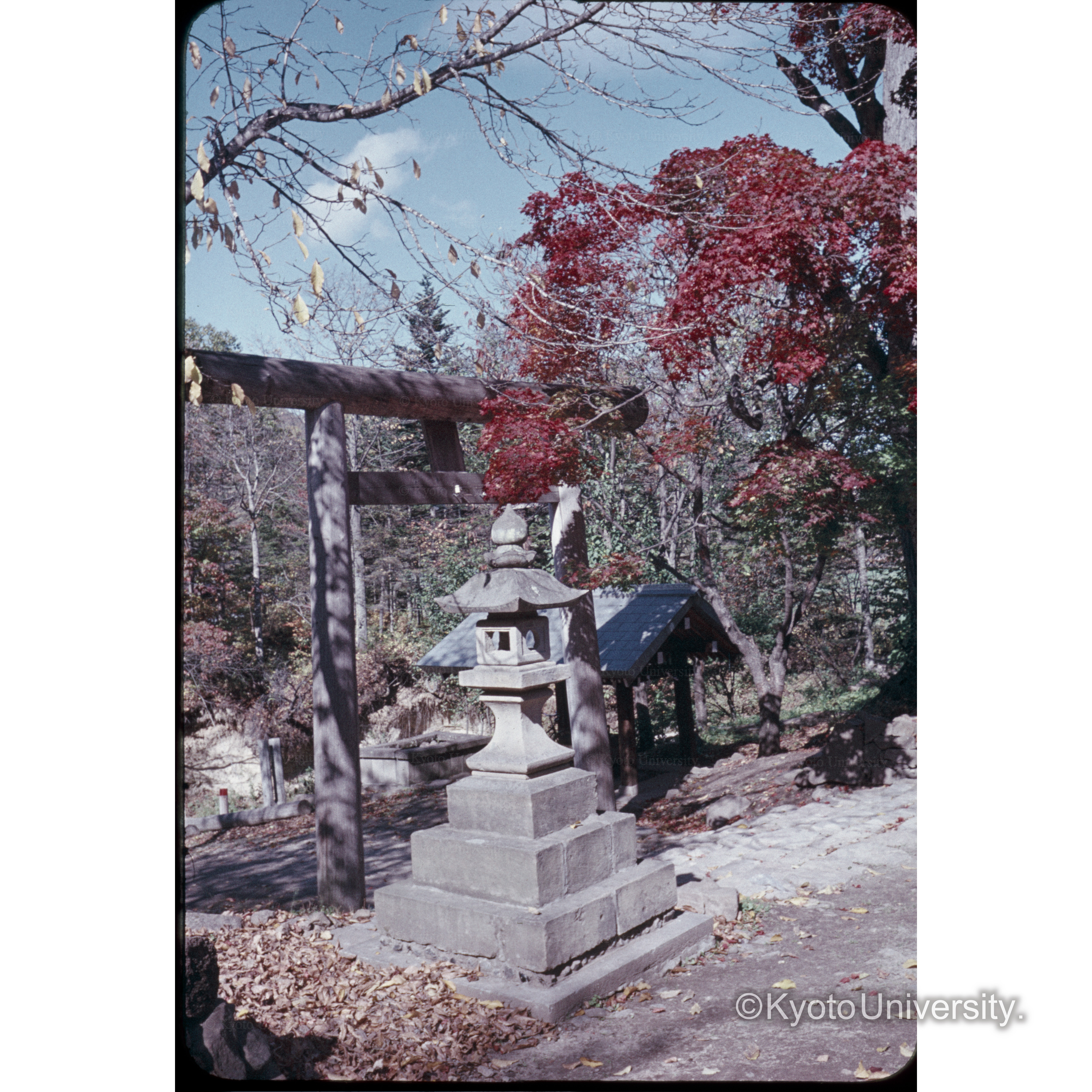 〔小さな鳥居と灯篭〕 (1)