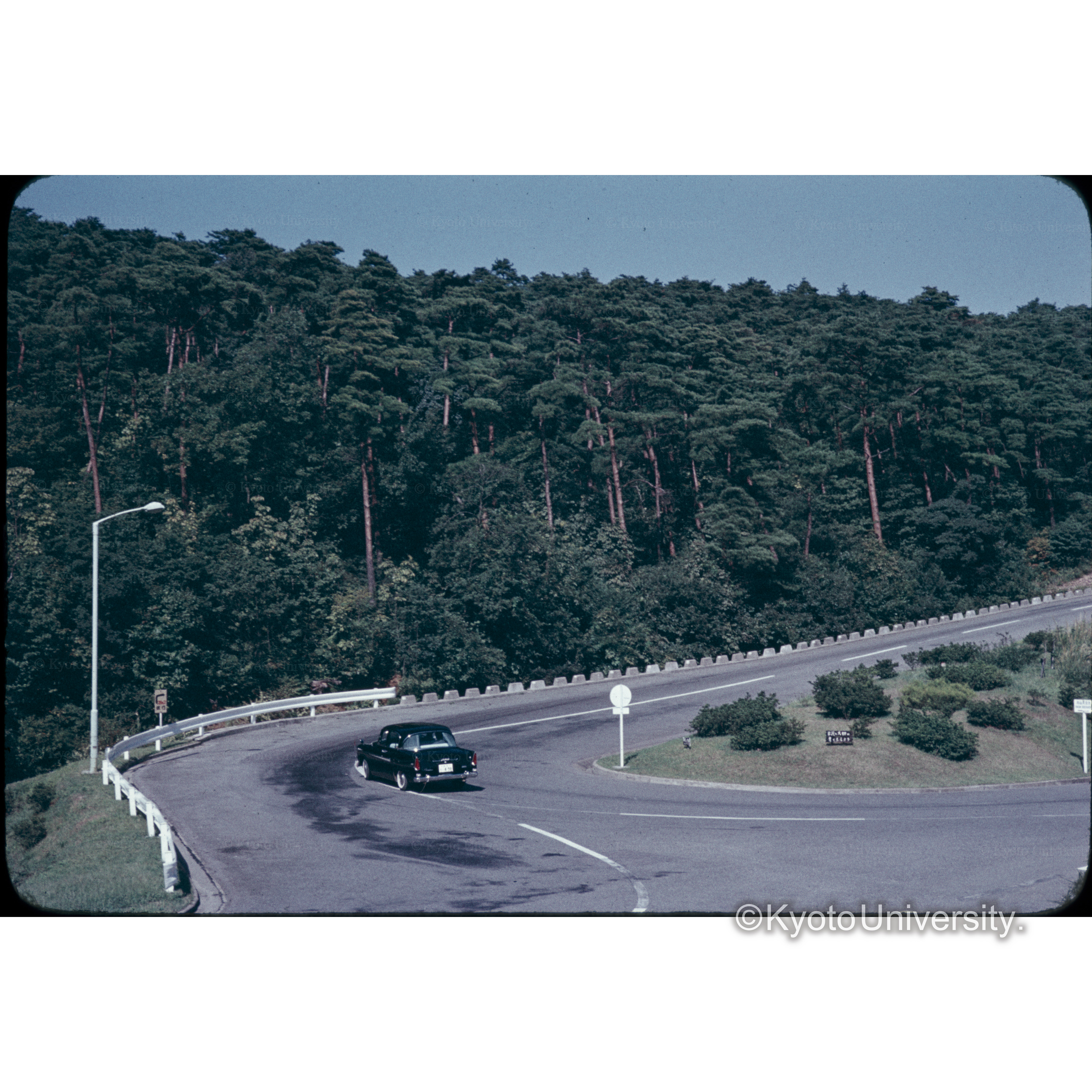 東山ドライブウェー (1)