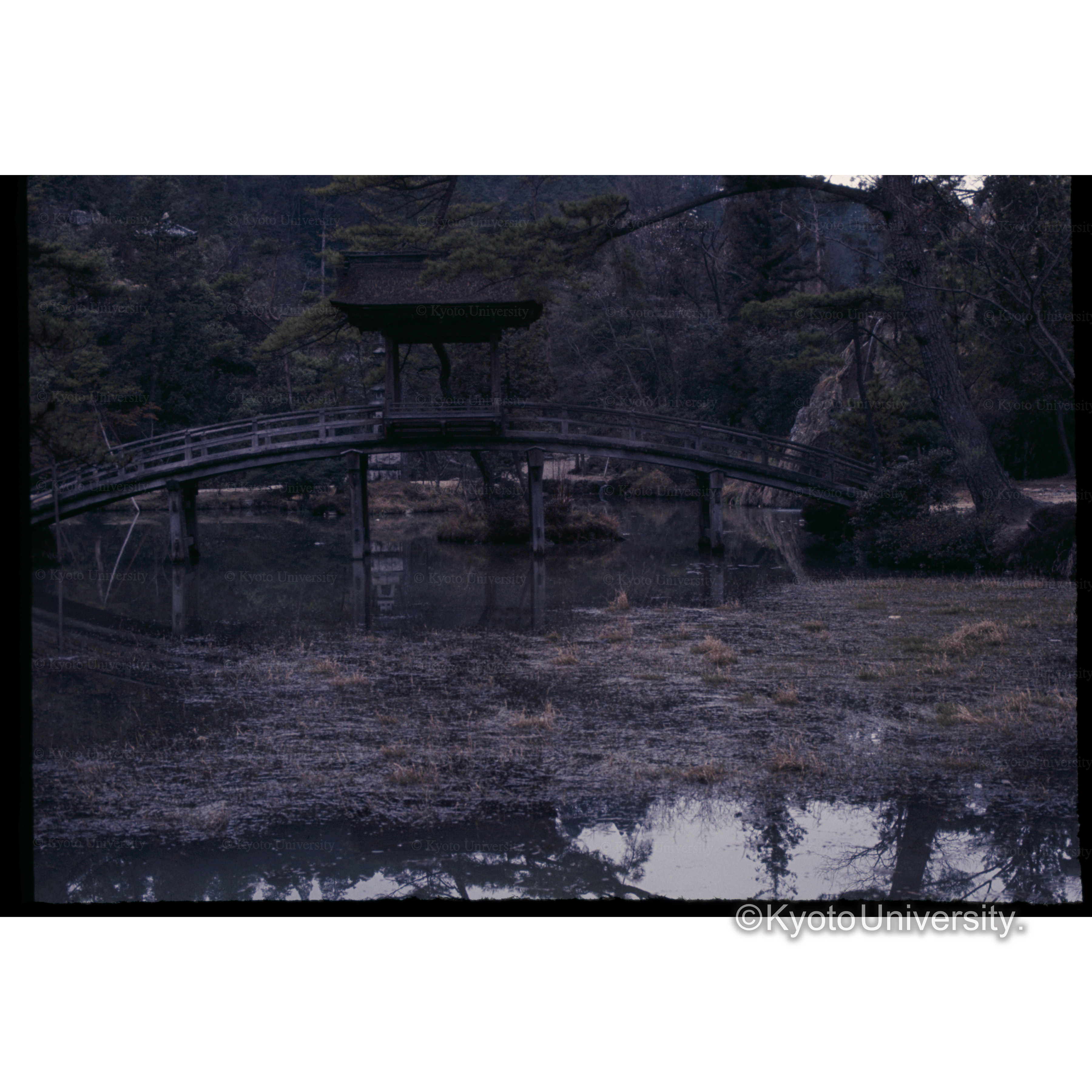 虎渓山永保寺(岐阜) (1)