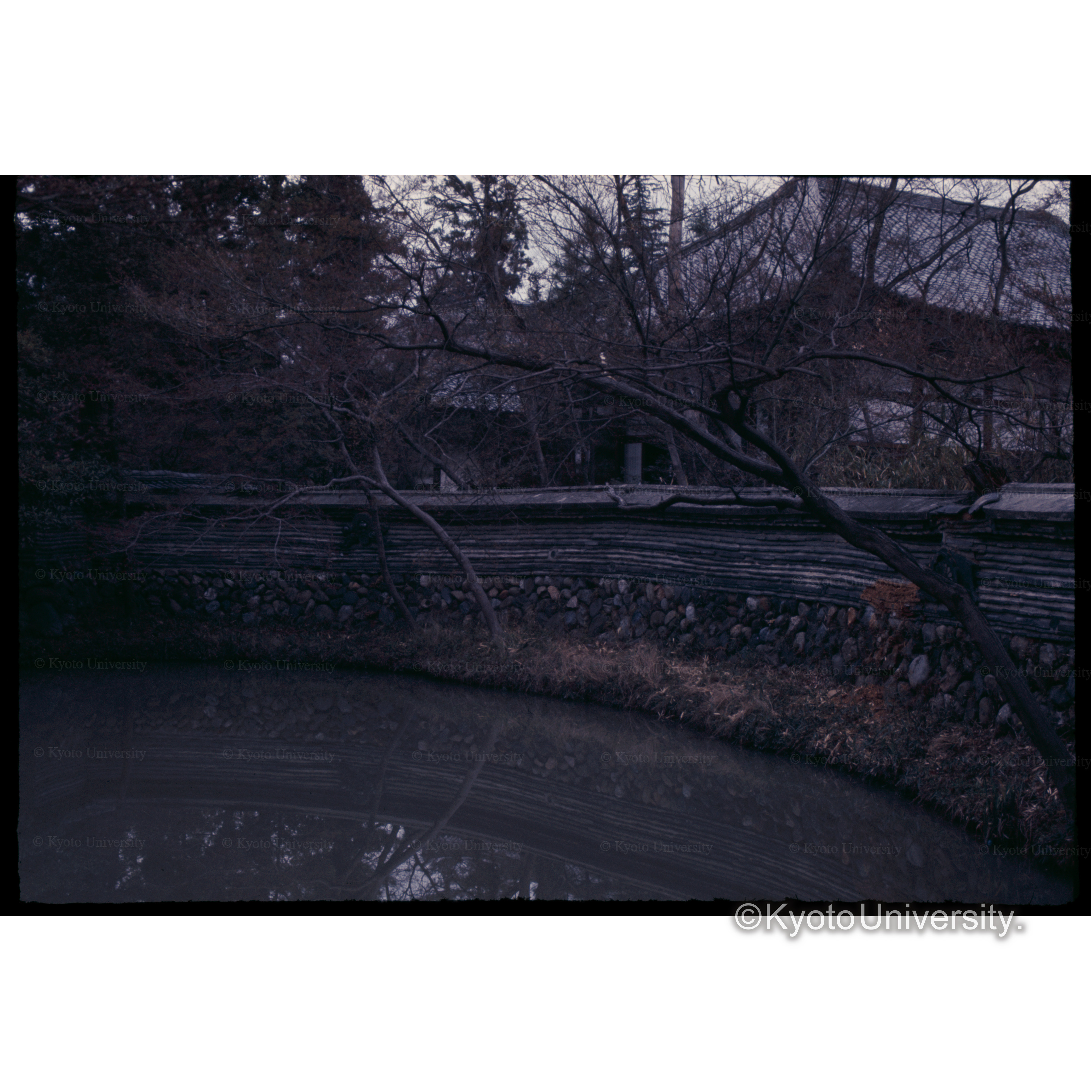 虎渓山永保寺 (1)