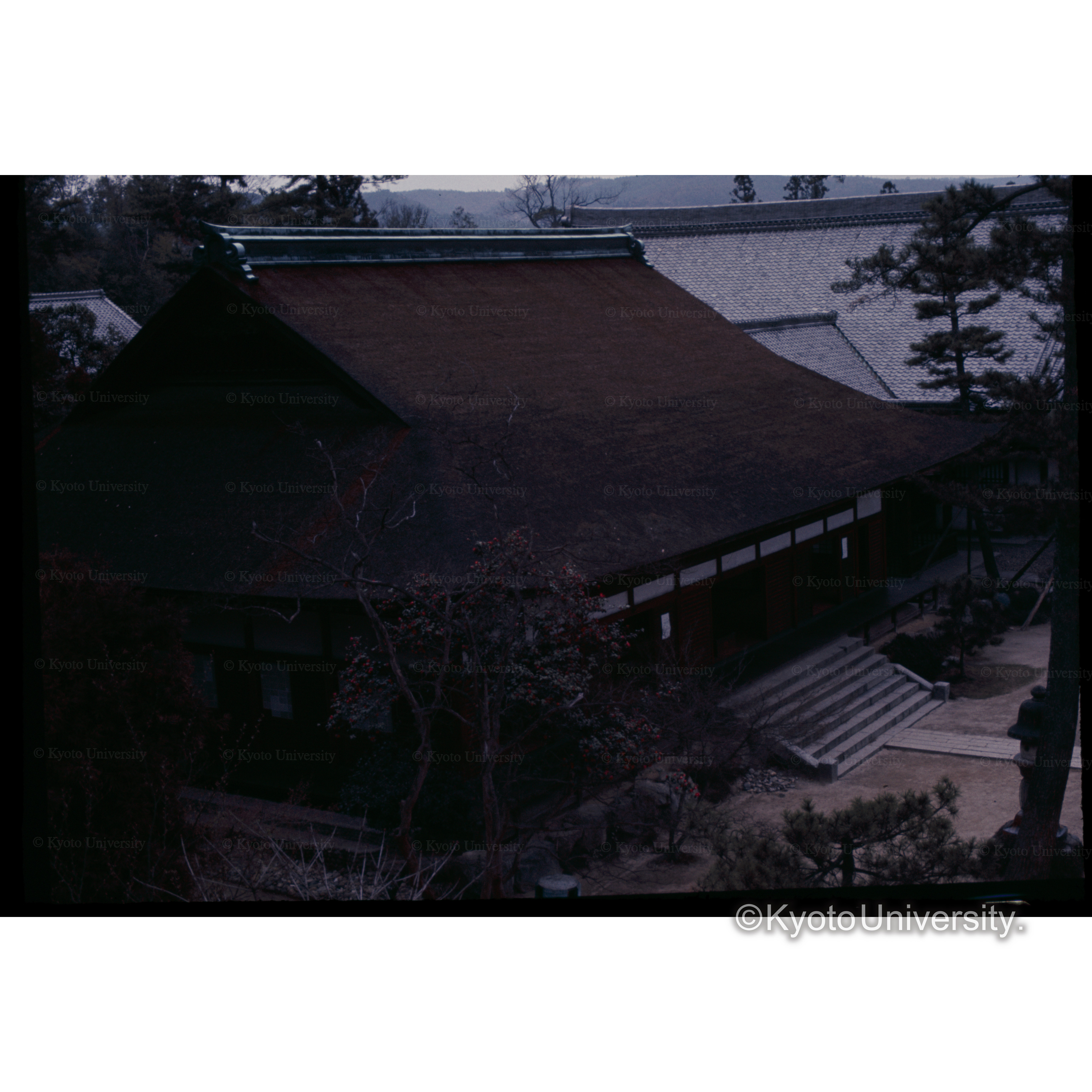 虎渓山永保寺 (1)