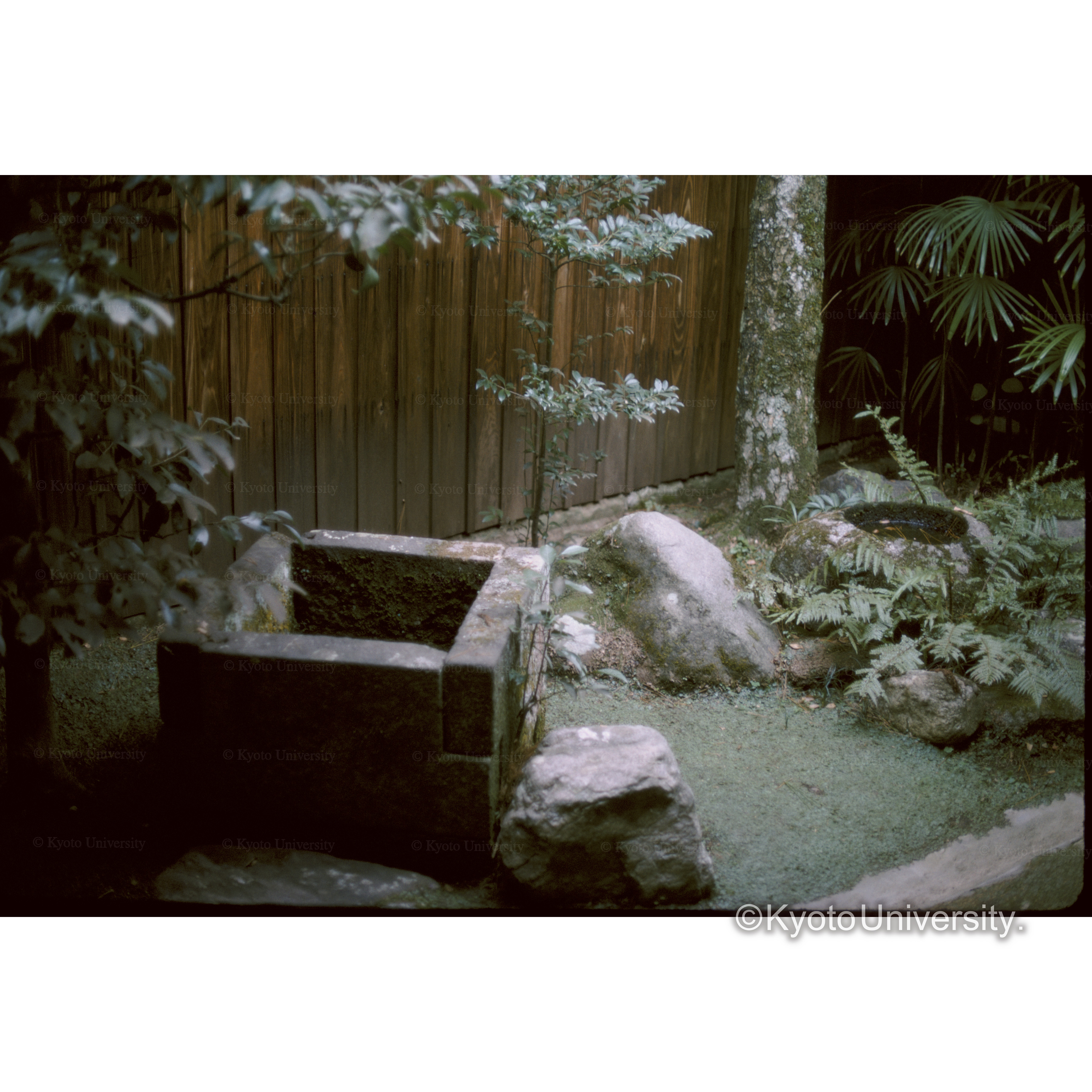 松阪、本居宣長邸 (1)