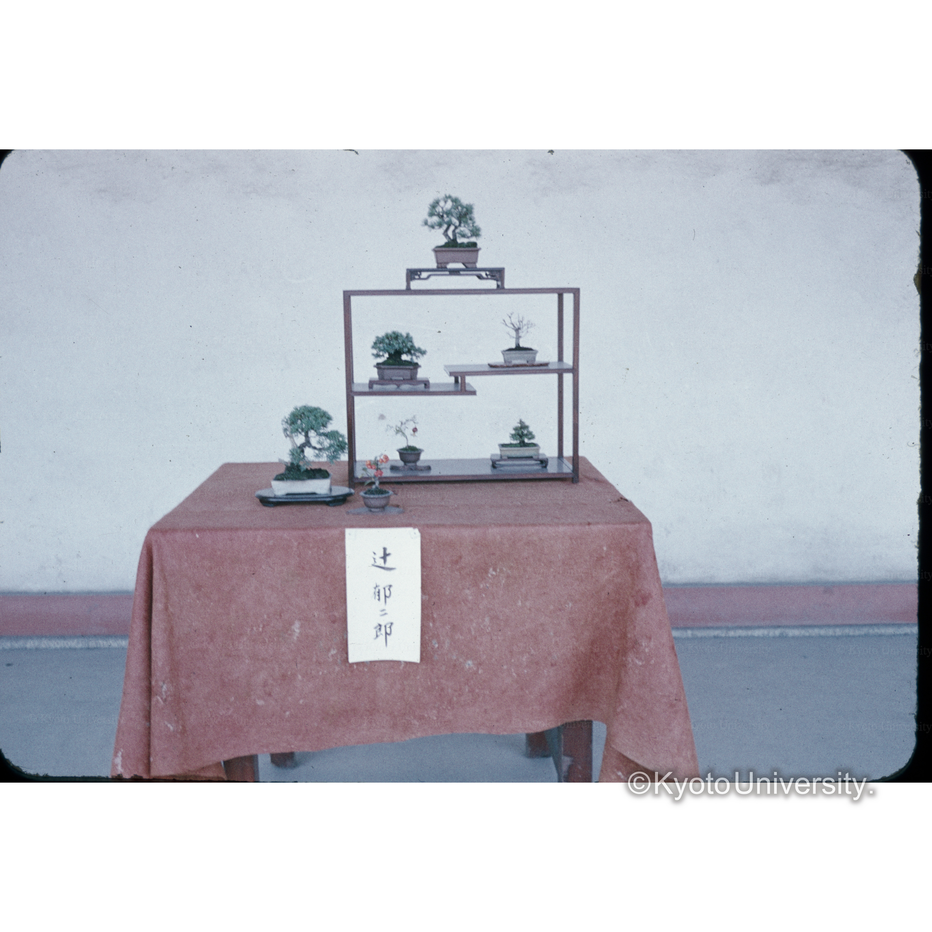 京都御所展示 (1)