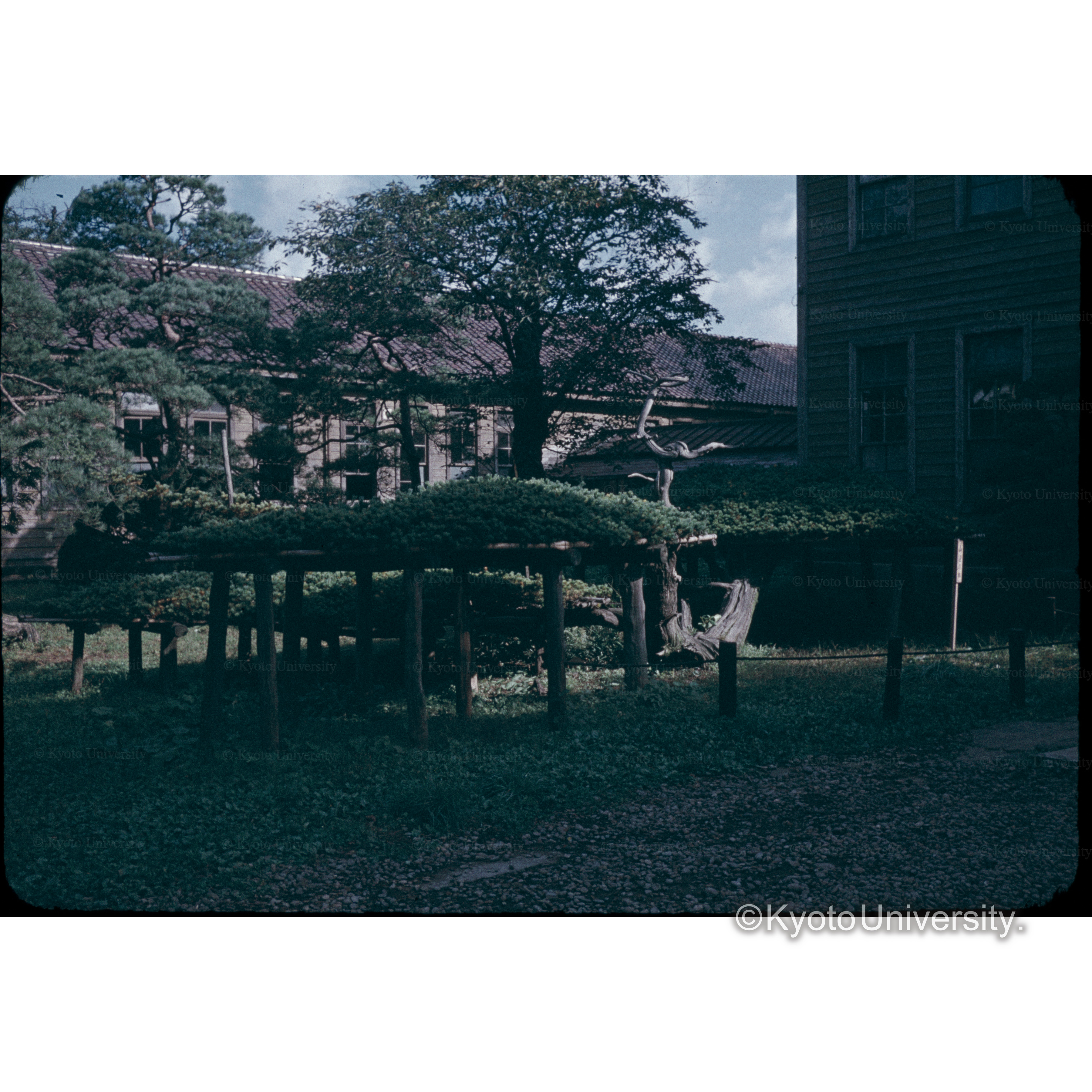 岩手大学農学部 (1)