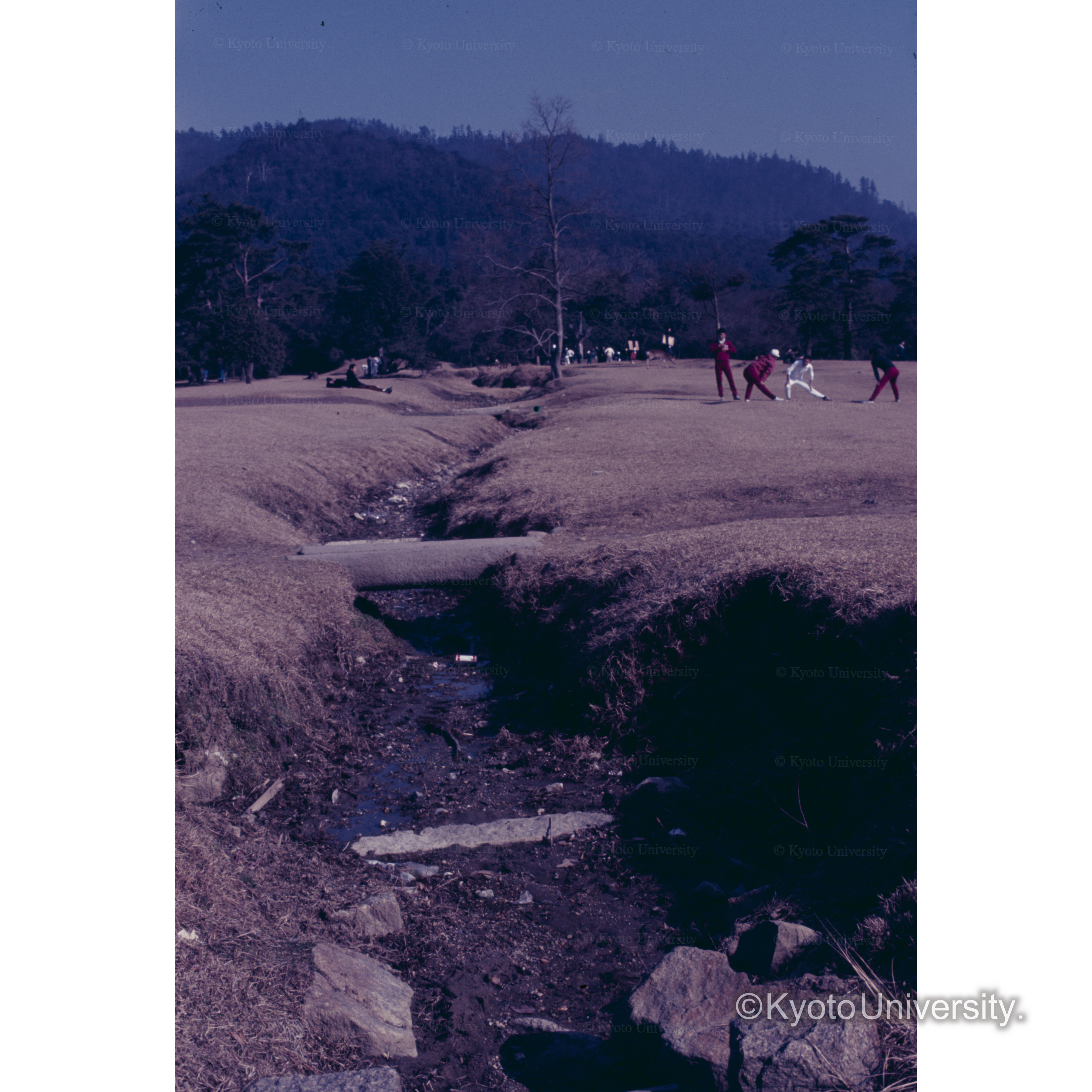 飛大野(奈良) (1)