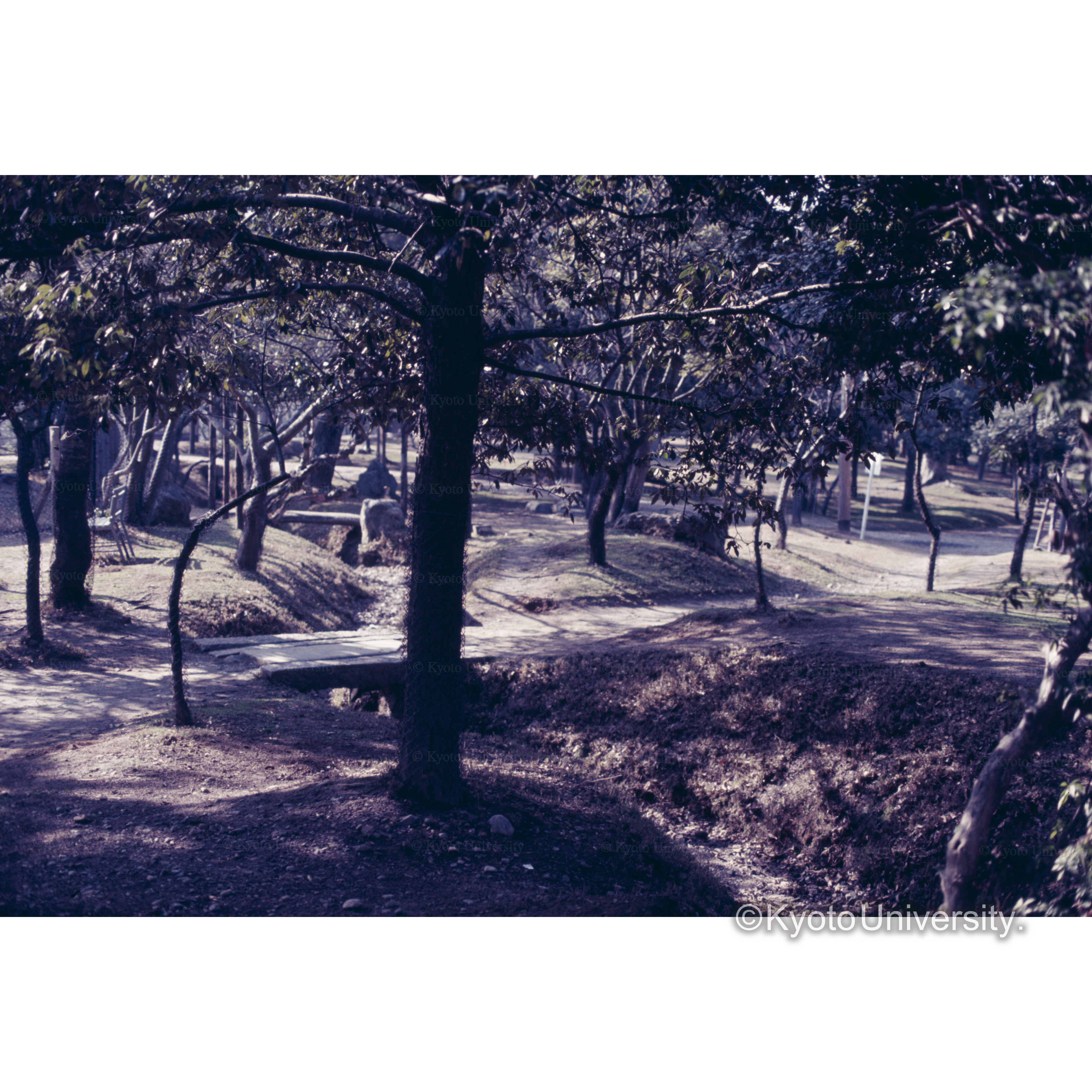 飛大野(遣水) (1)