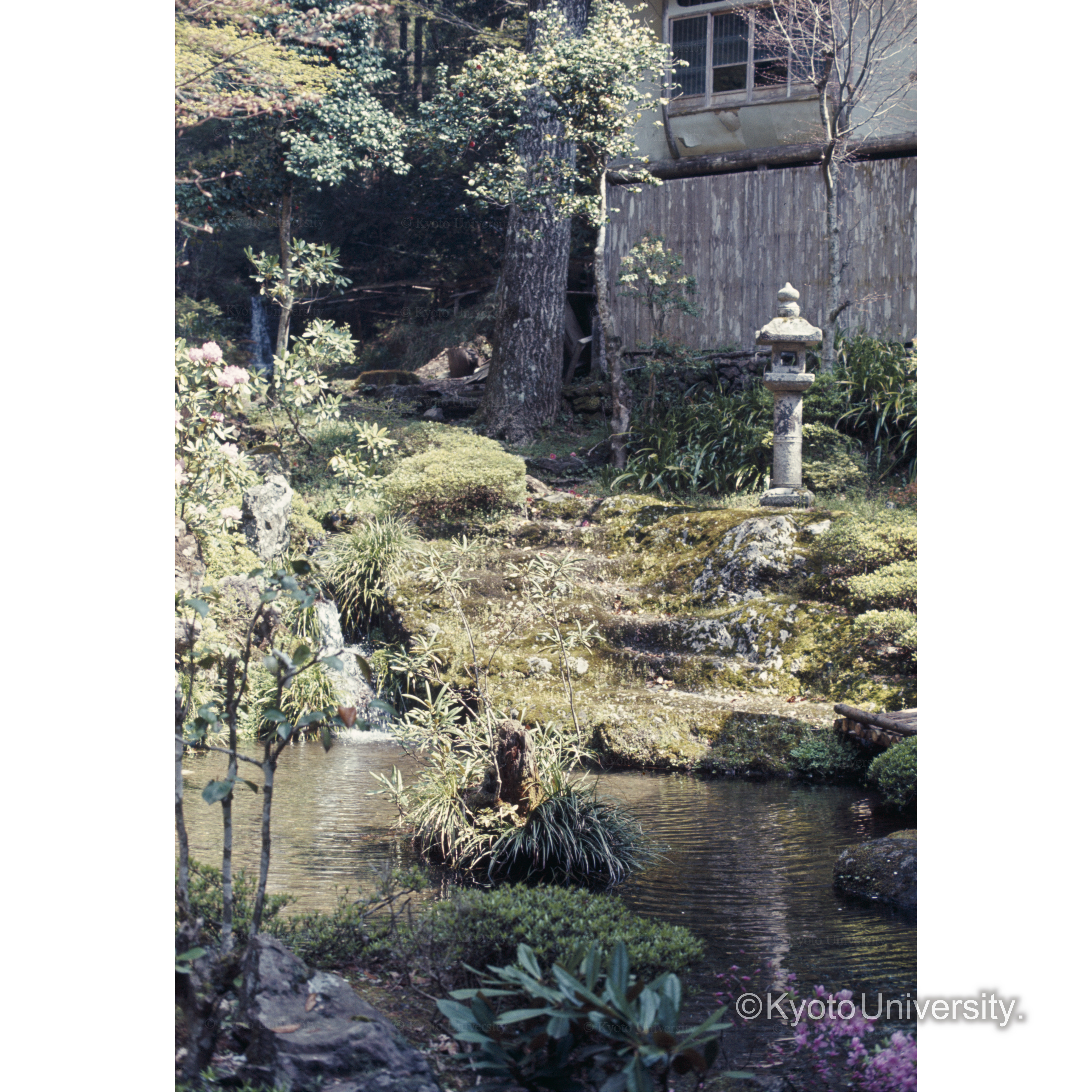 岩屋不動(雲ヶ畑) (1)