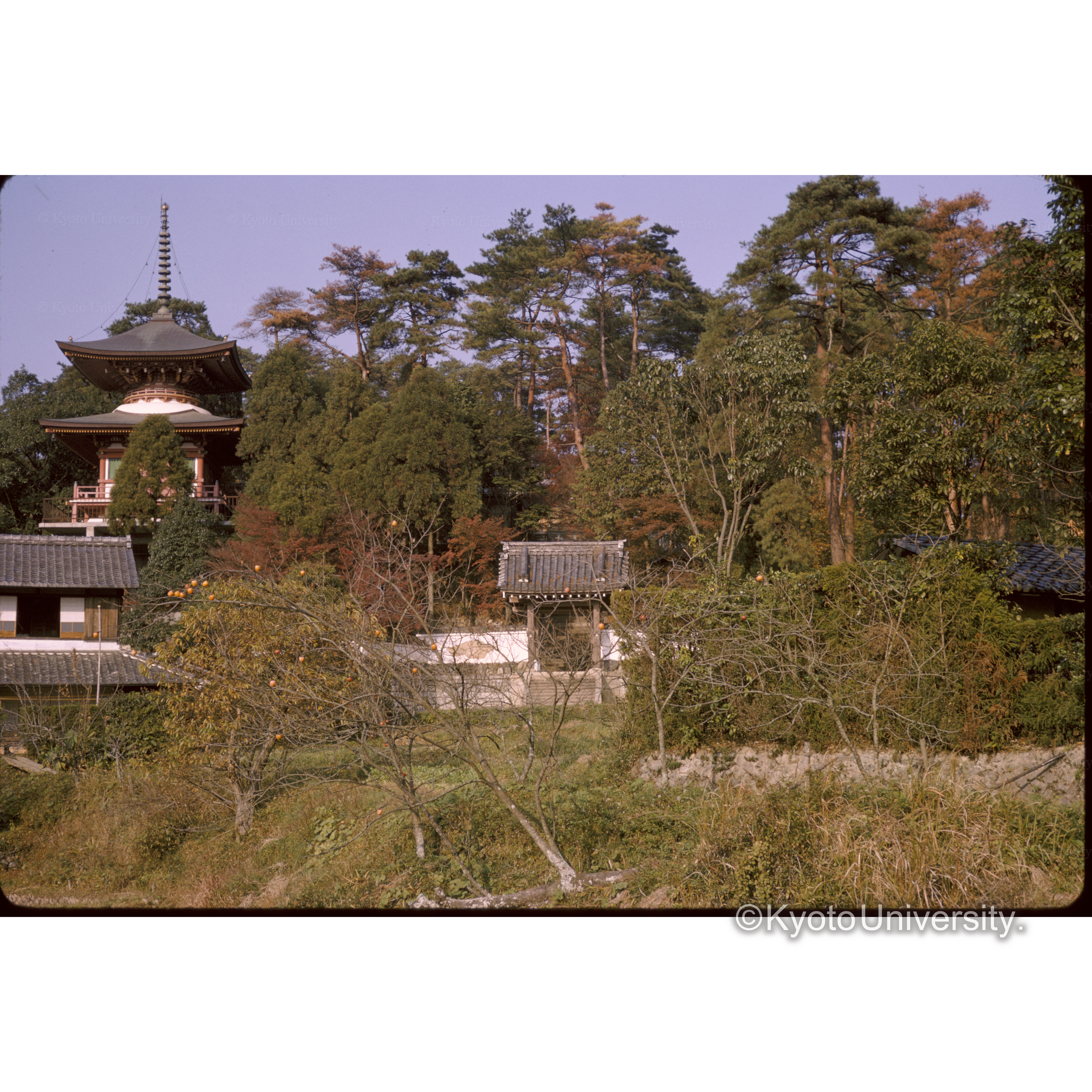 三明寺(三宅八幡) (1)