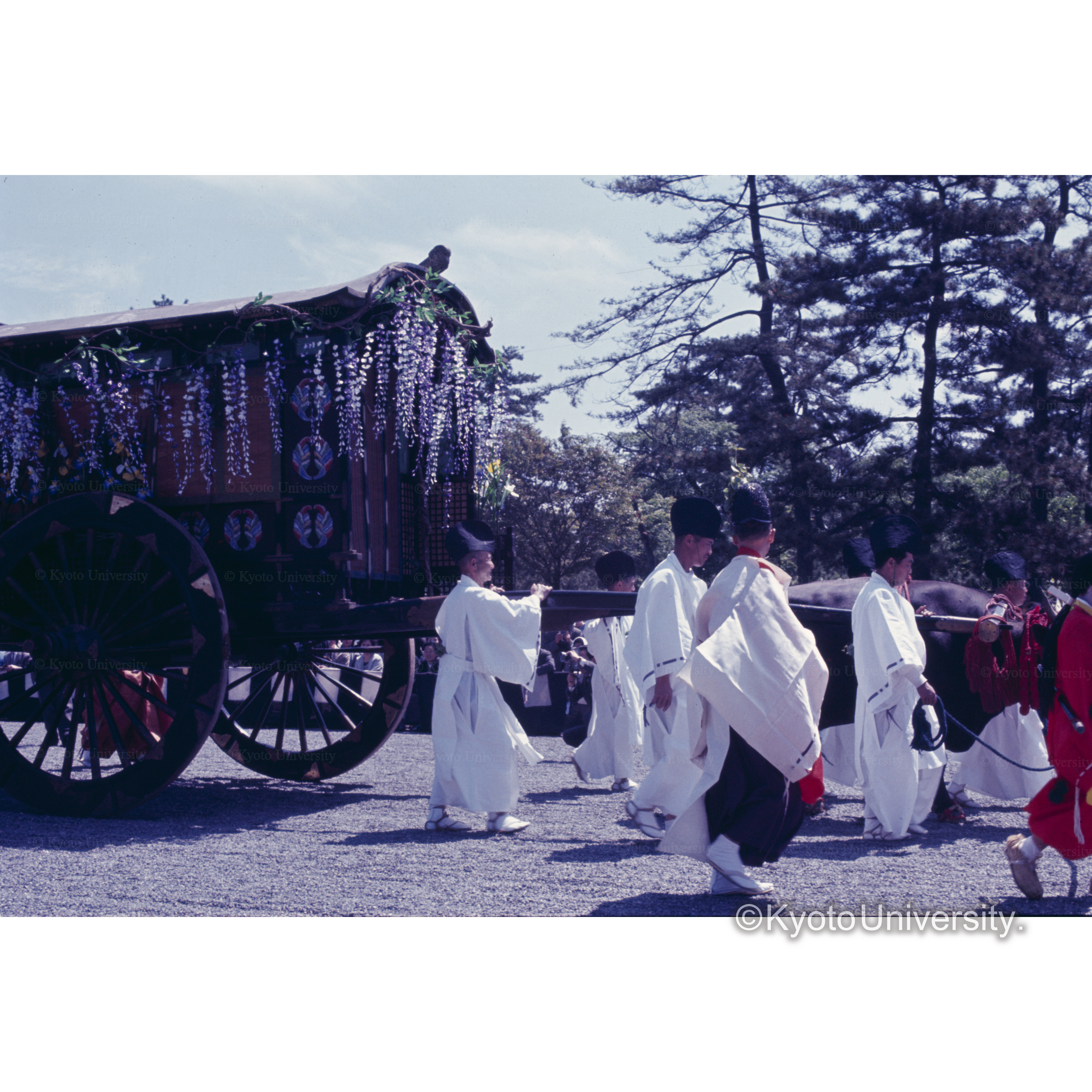 あをいまつり (1)