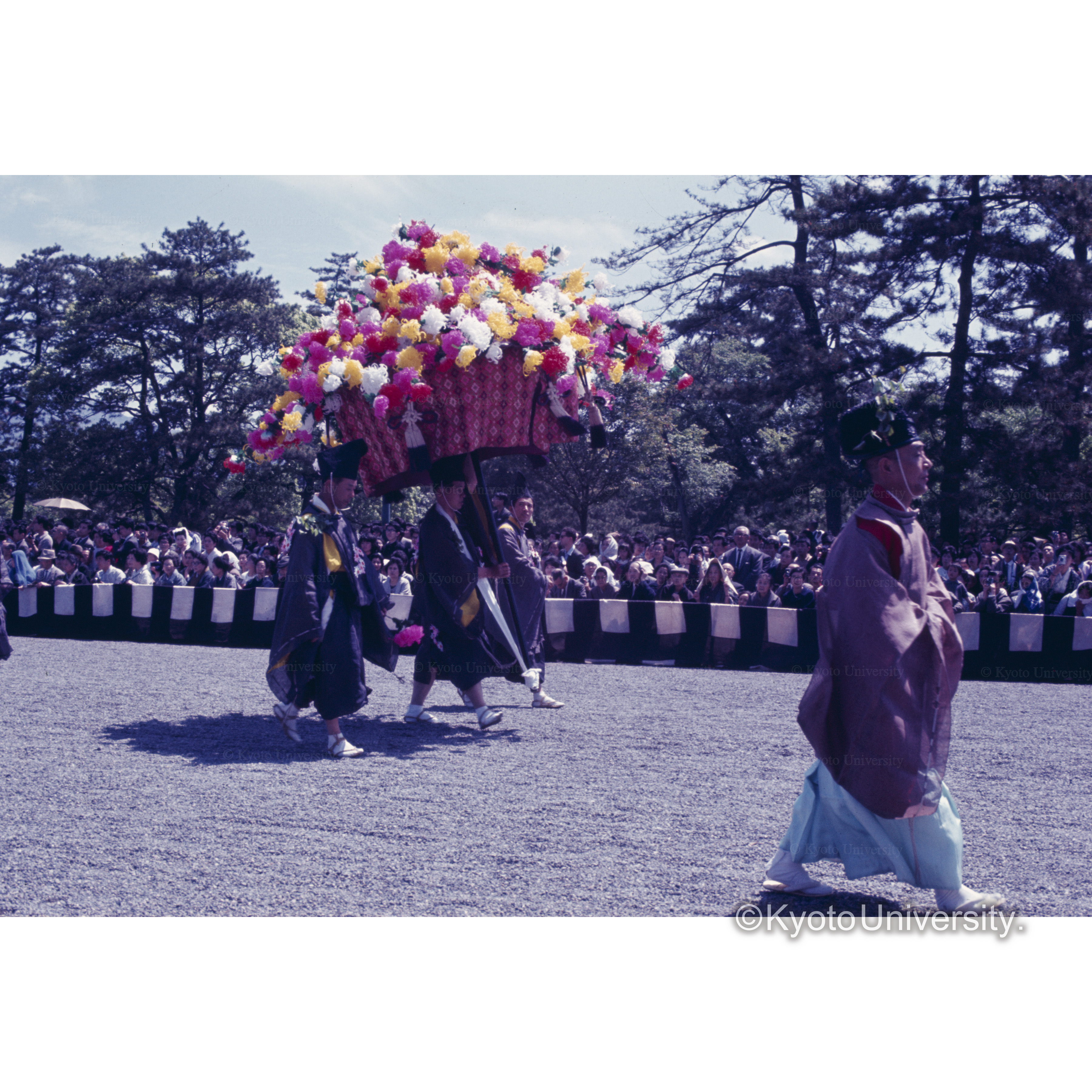 あおいまつり (1)