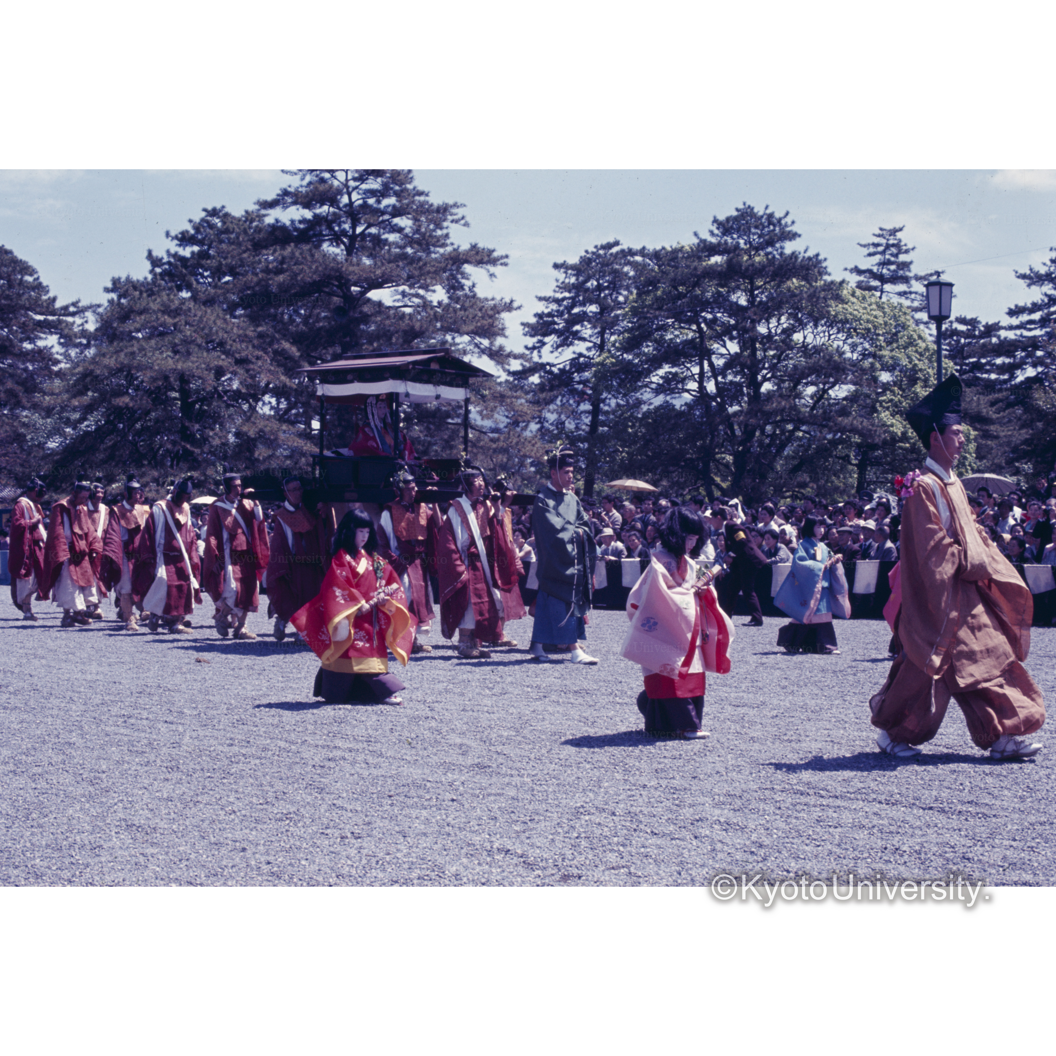 あおいまつり (1)