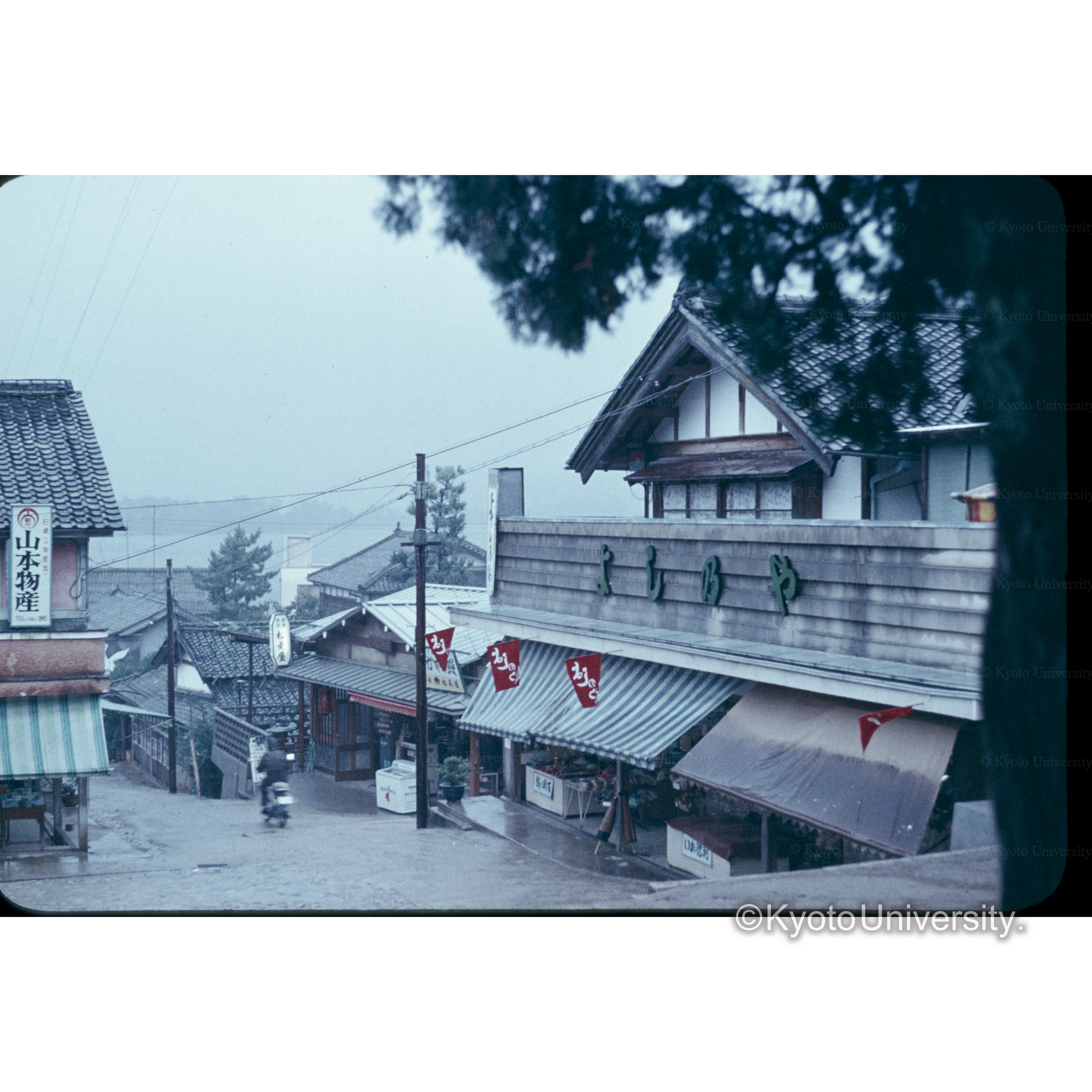 天立橋（ケーブル下） (1)