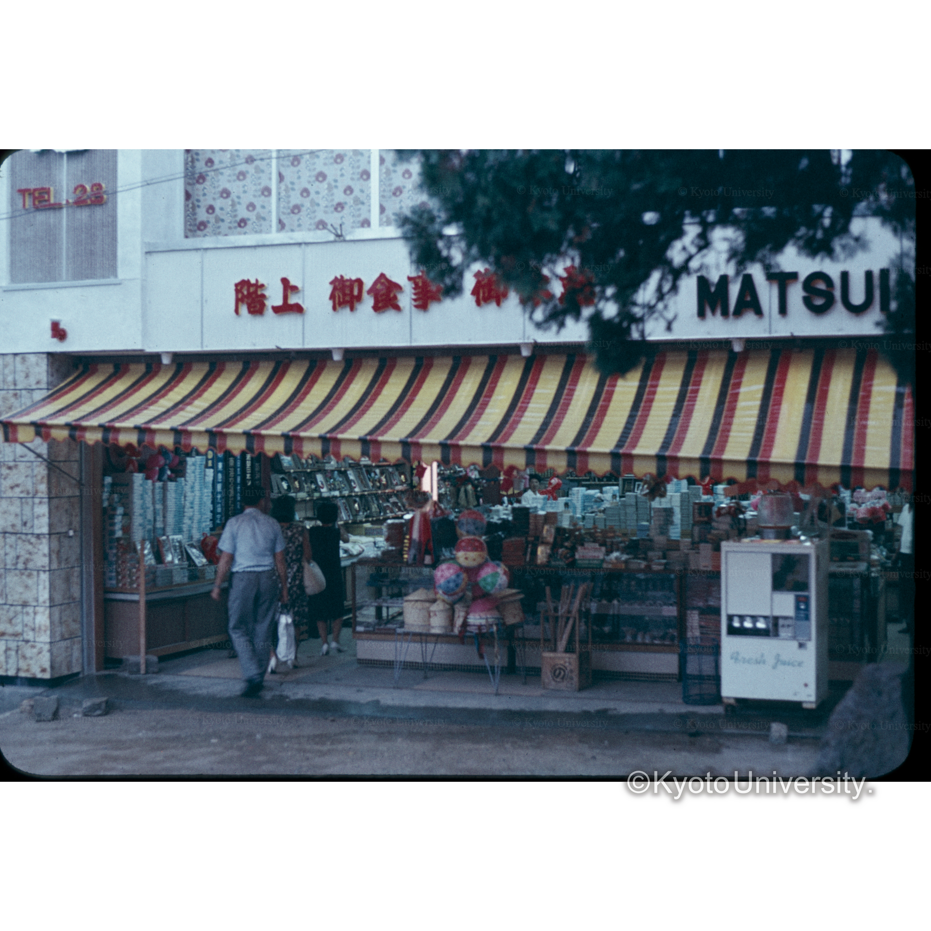 天立橋（ケーブル下） (1)