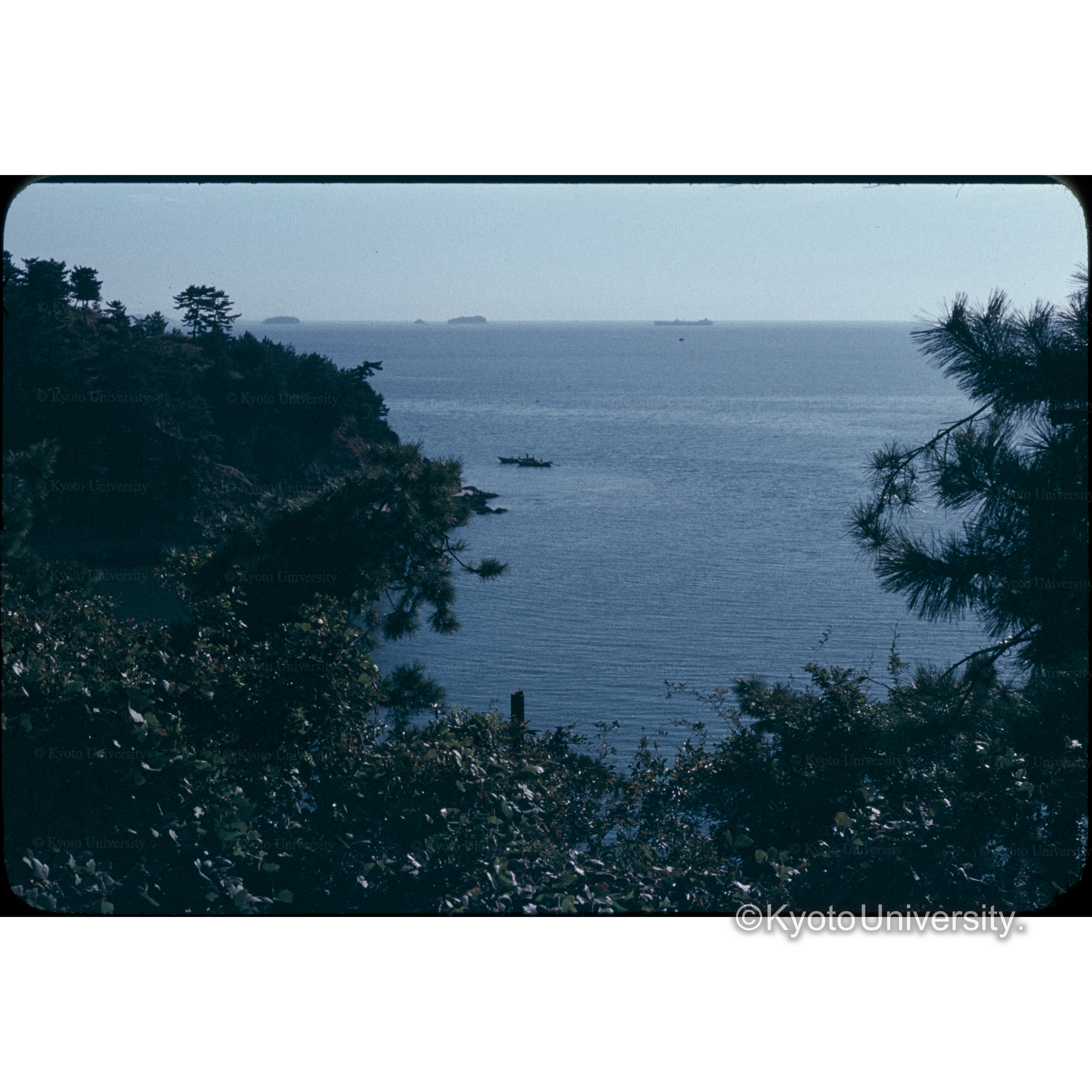 赤穂御□房海□ (1)