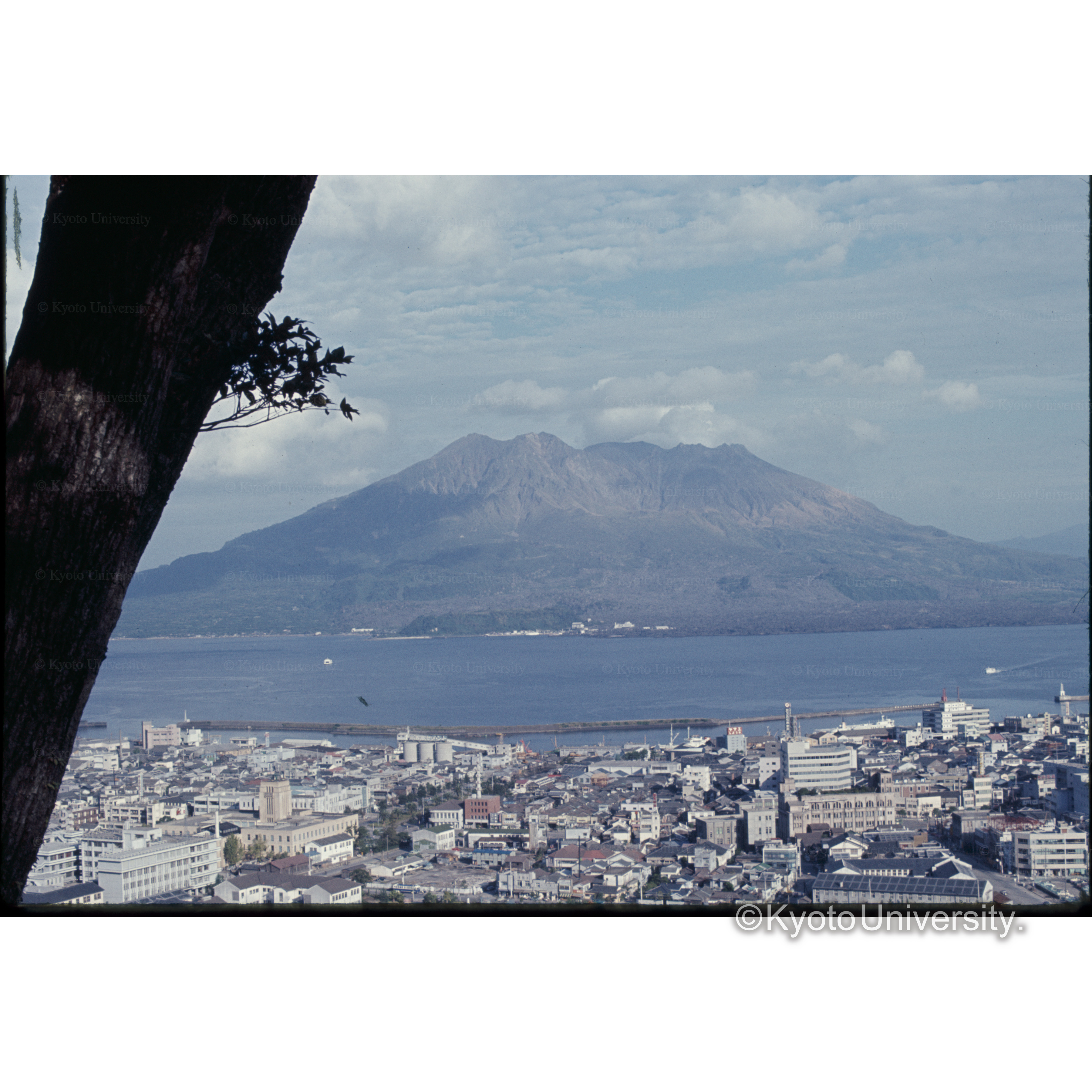 城山公園からの桜島 (1)