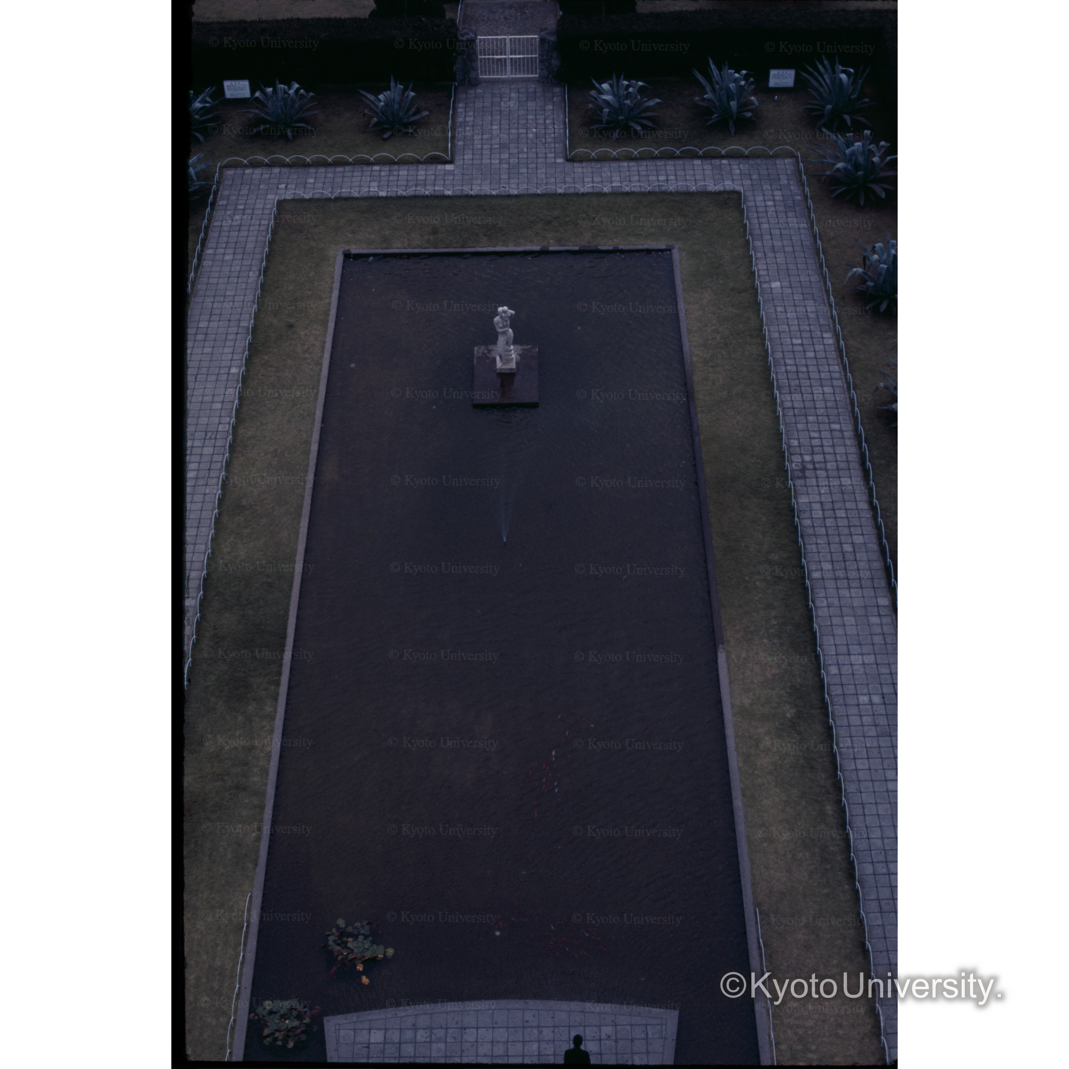 長崎文化会館の庭 (1)