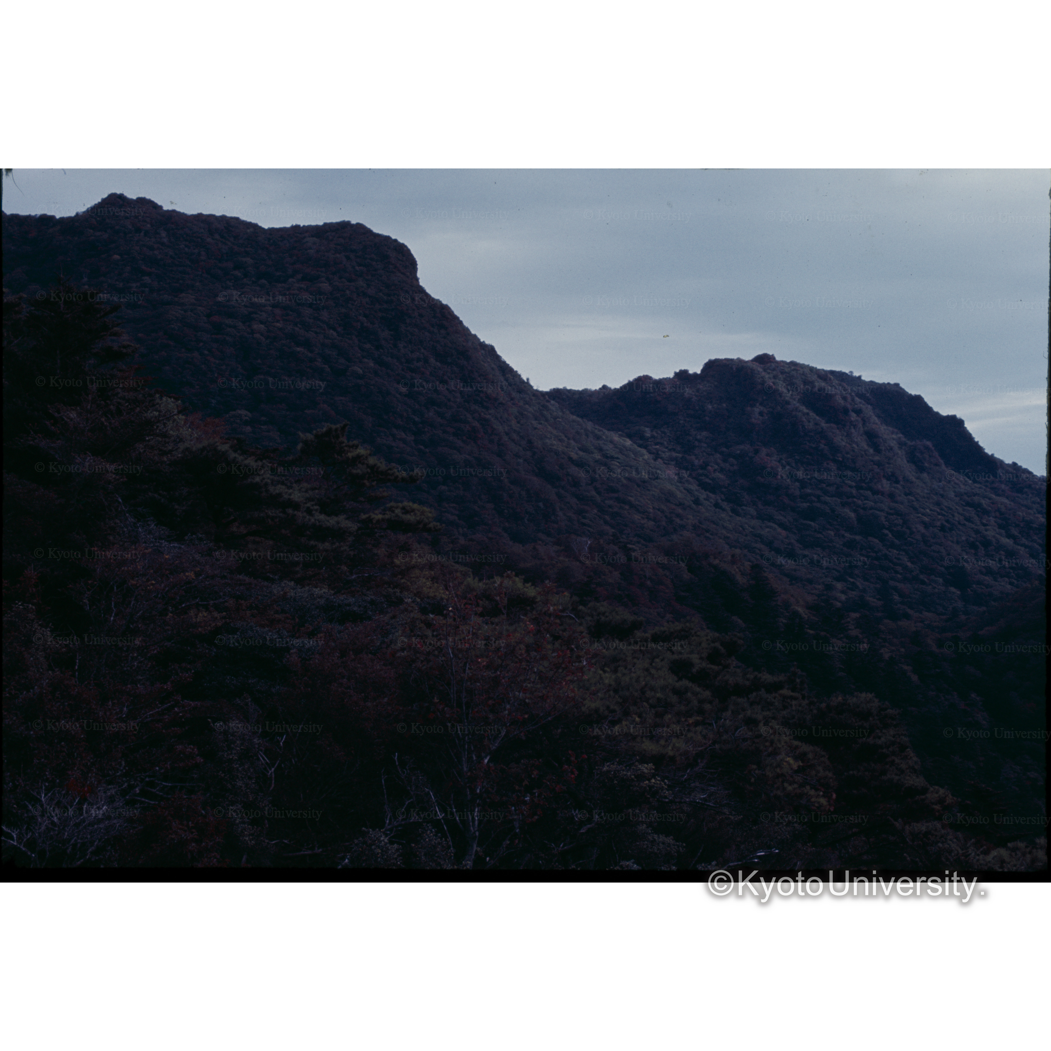 雲仙.普賢岳 (1)