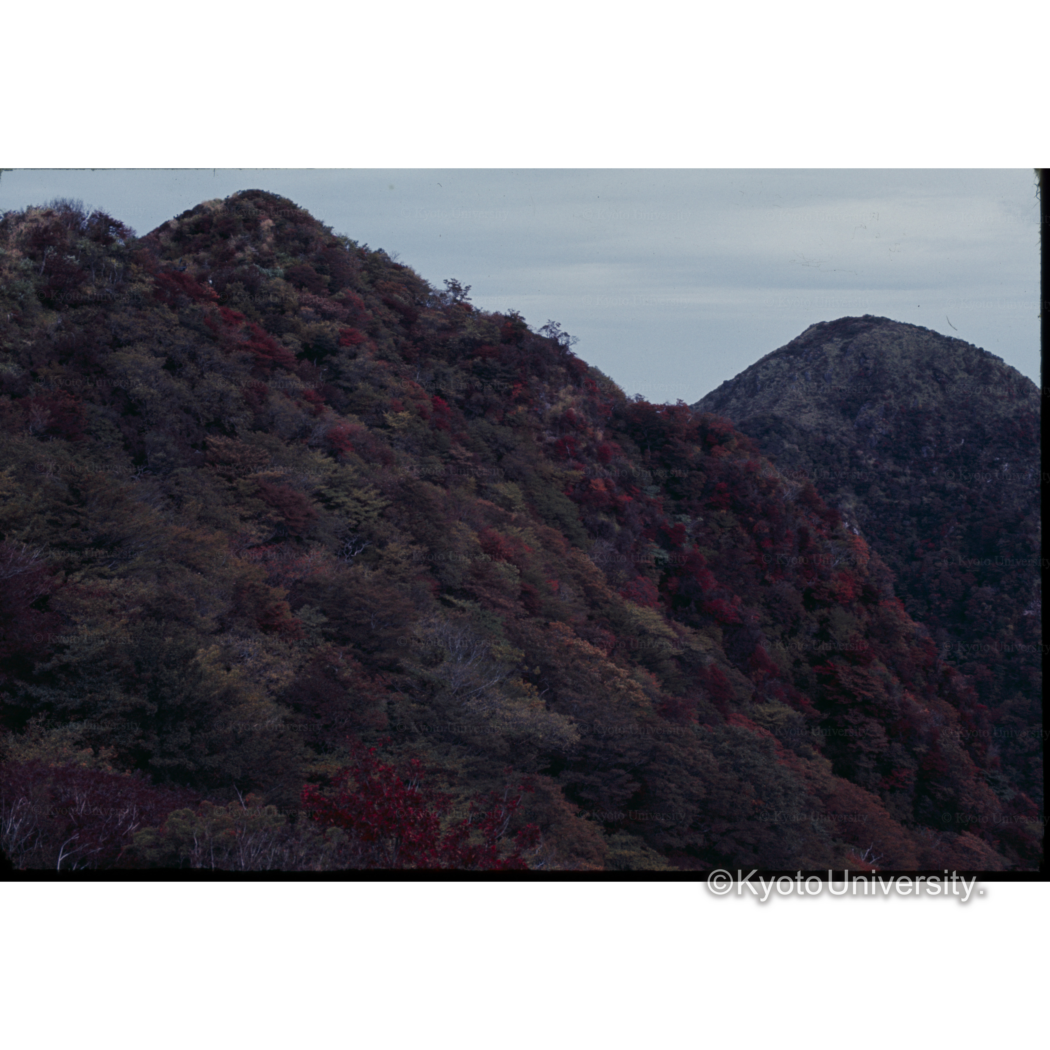 雲仙.普賢岳 (1)