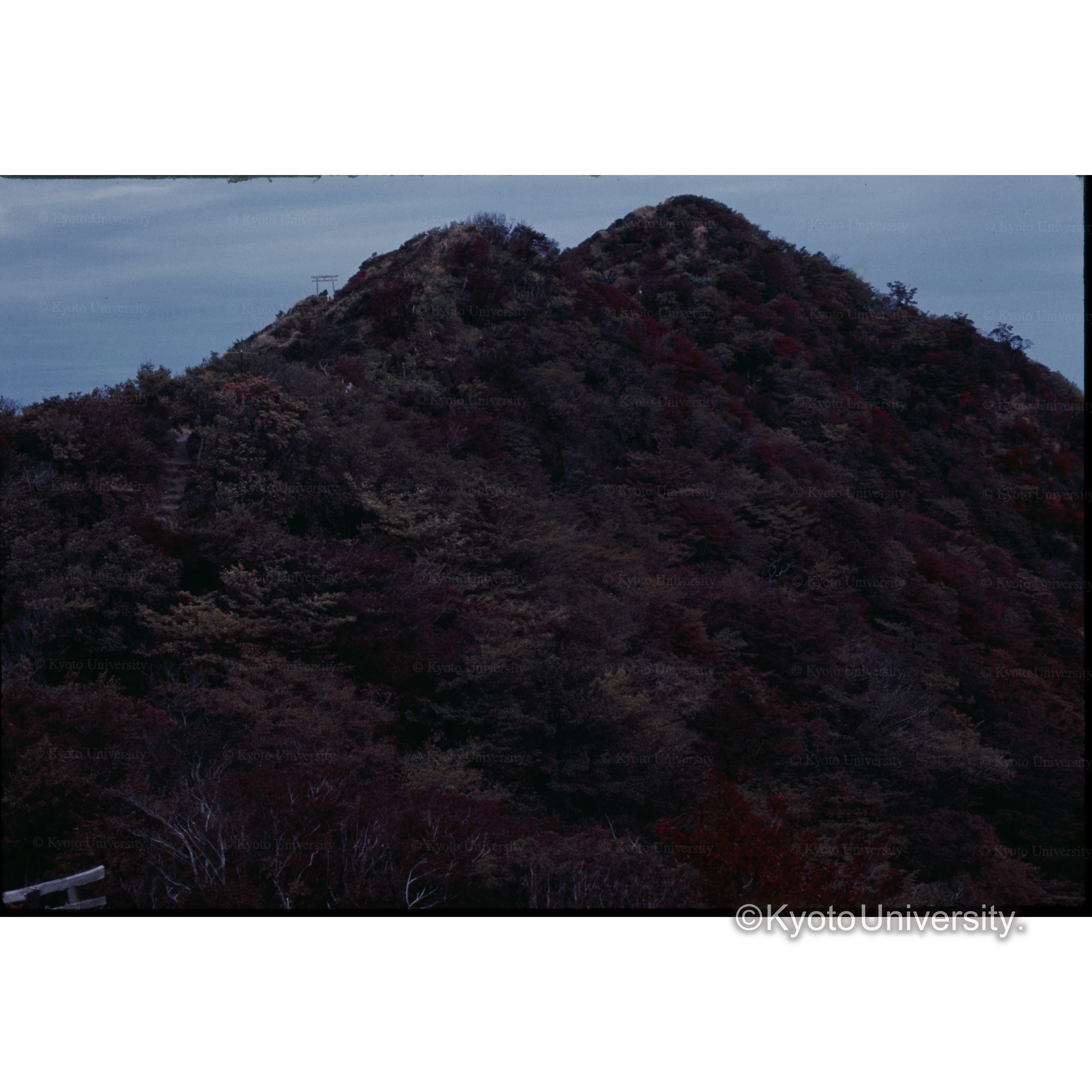 雲仙.普賢岳 (1)