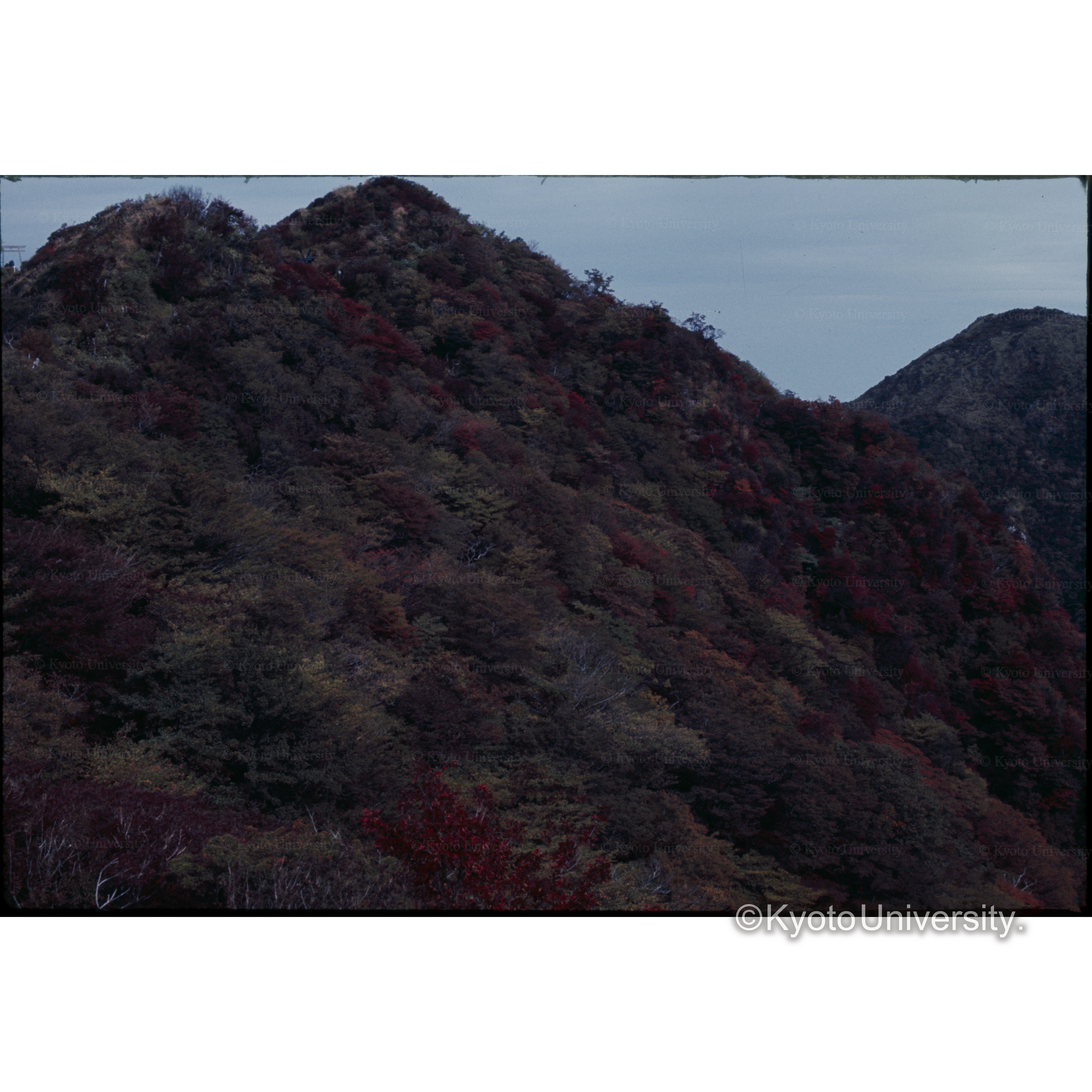 雲仙.普賢岳 (1)