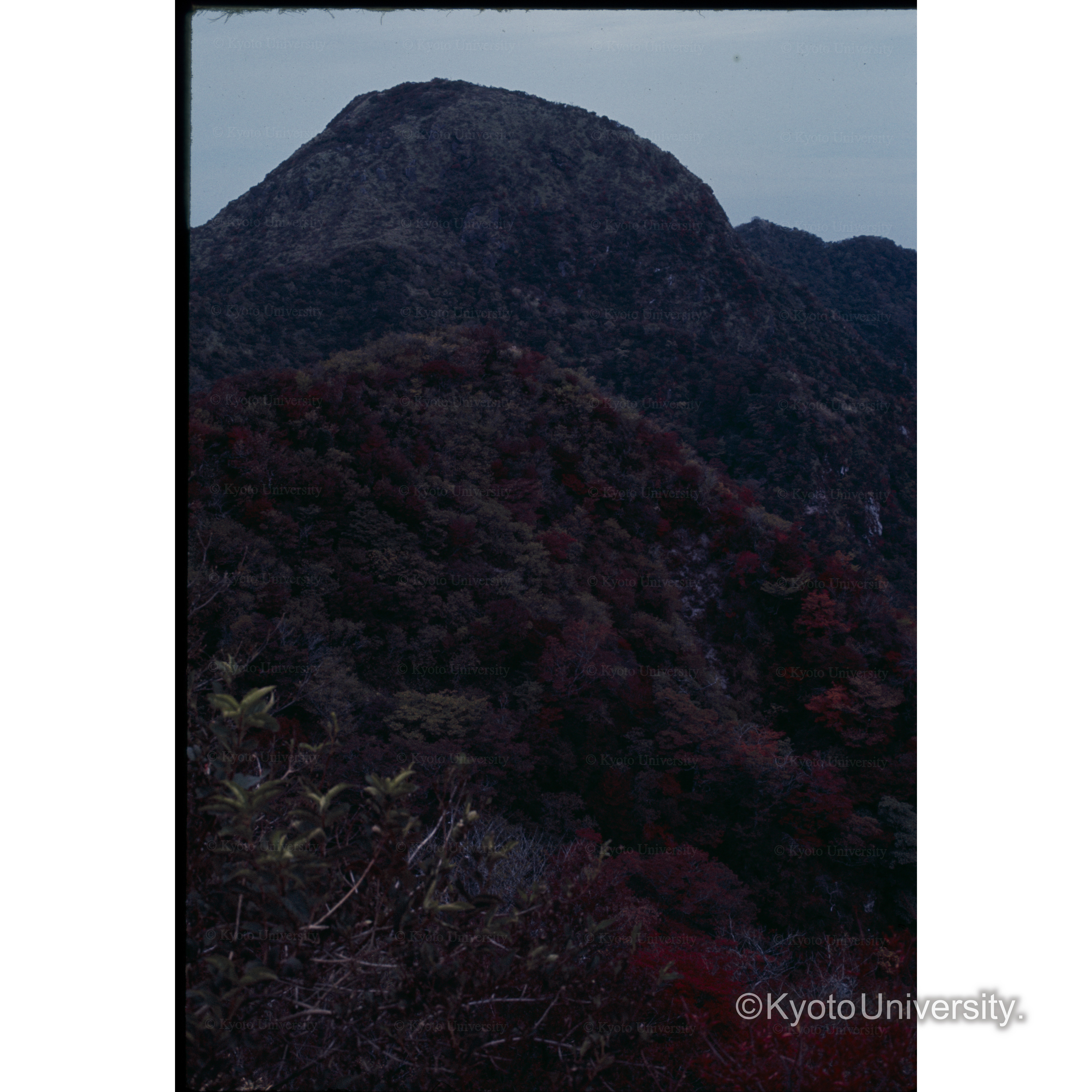 普賢岳(雲仙) (1)