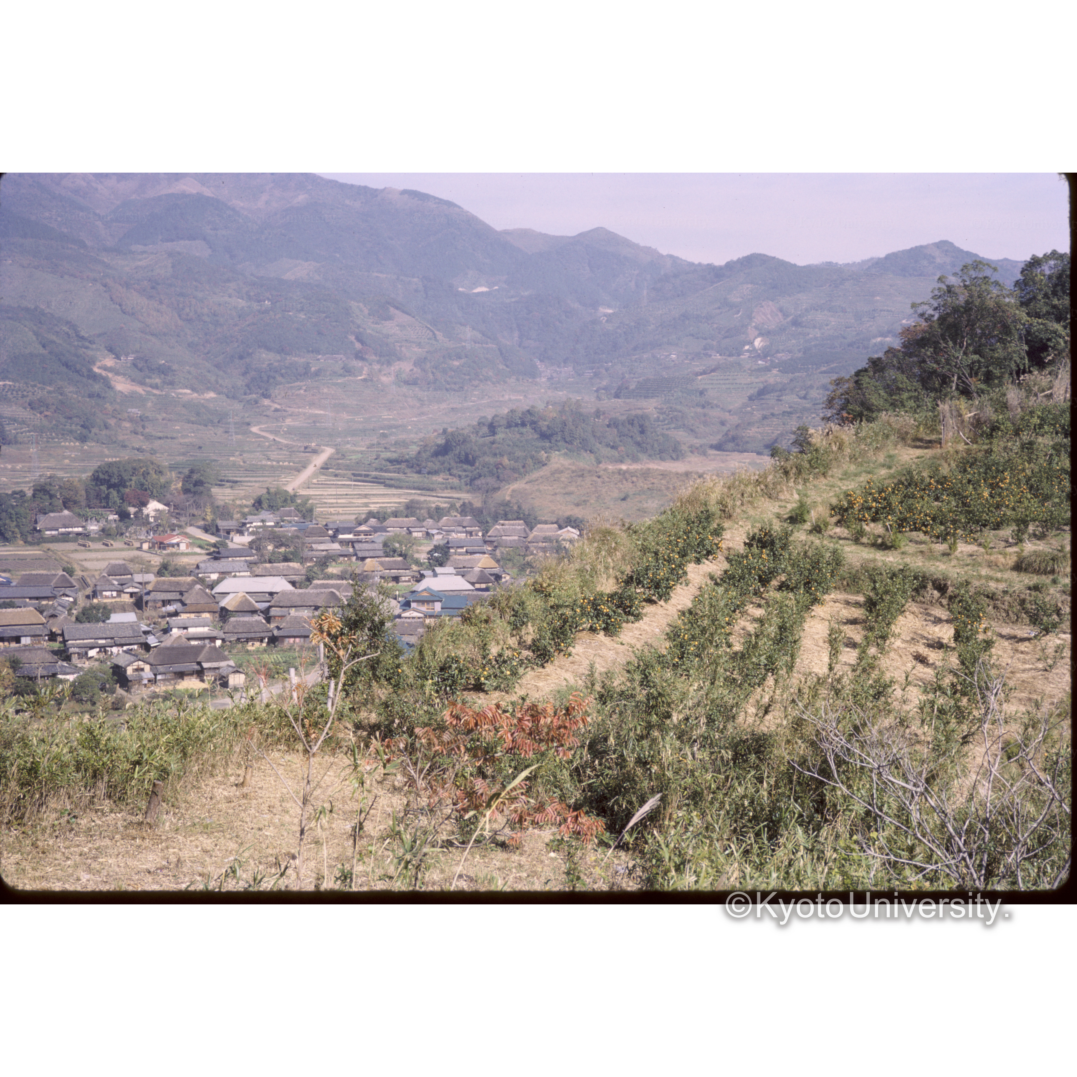 北浦のため池(6ha) (1)