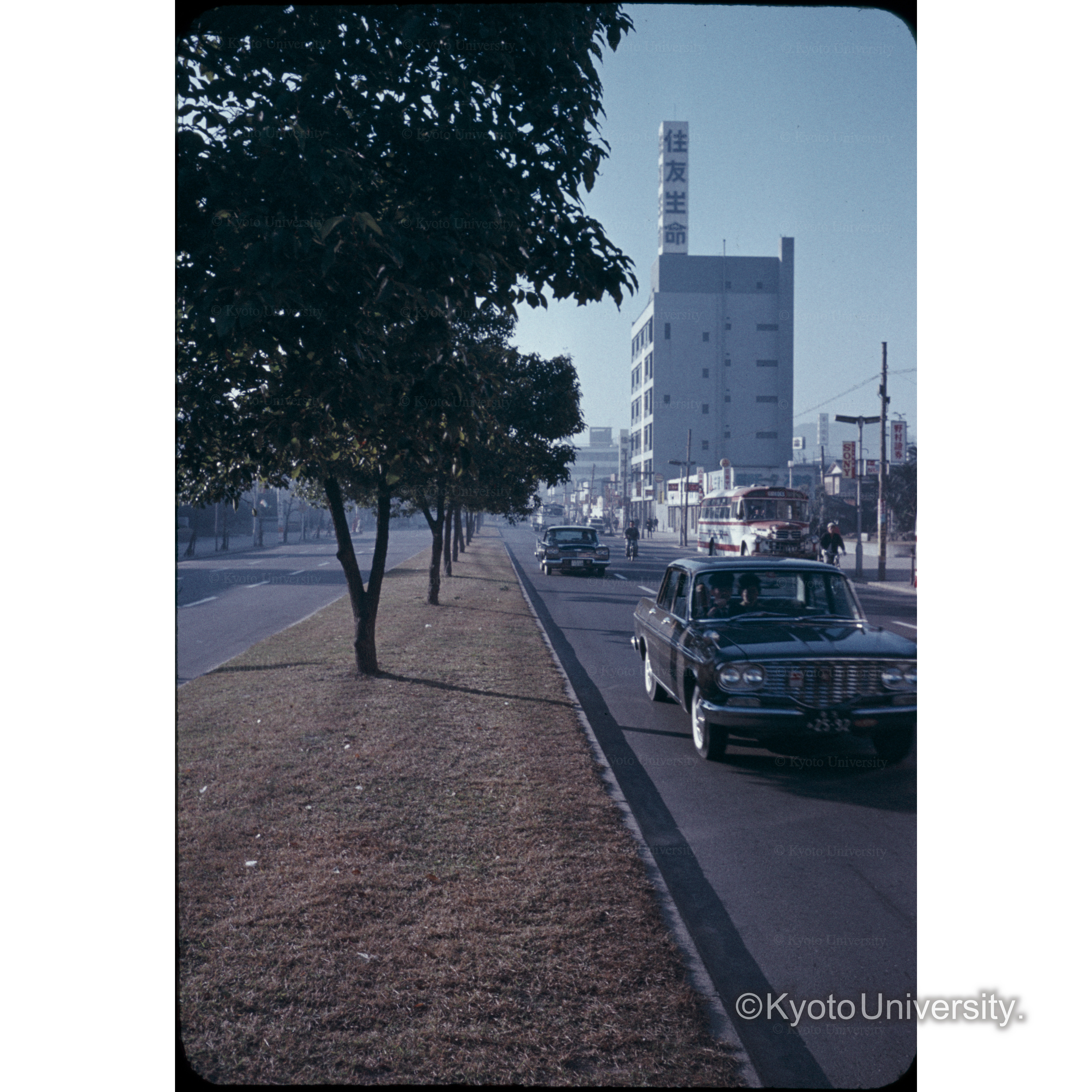 高松中央通り（クス) (1)