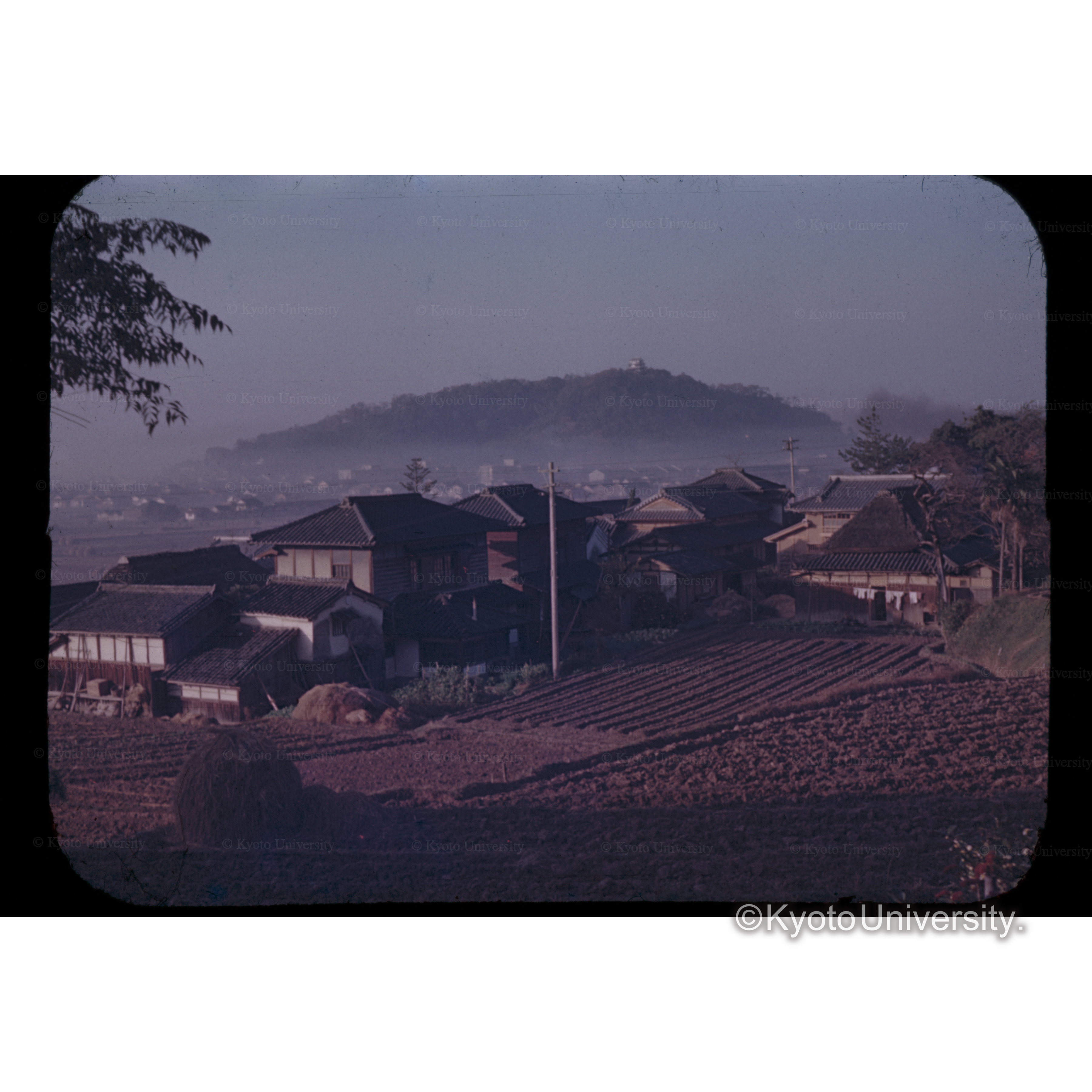 道路より松山城を望む　NOV.1952 (1)