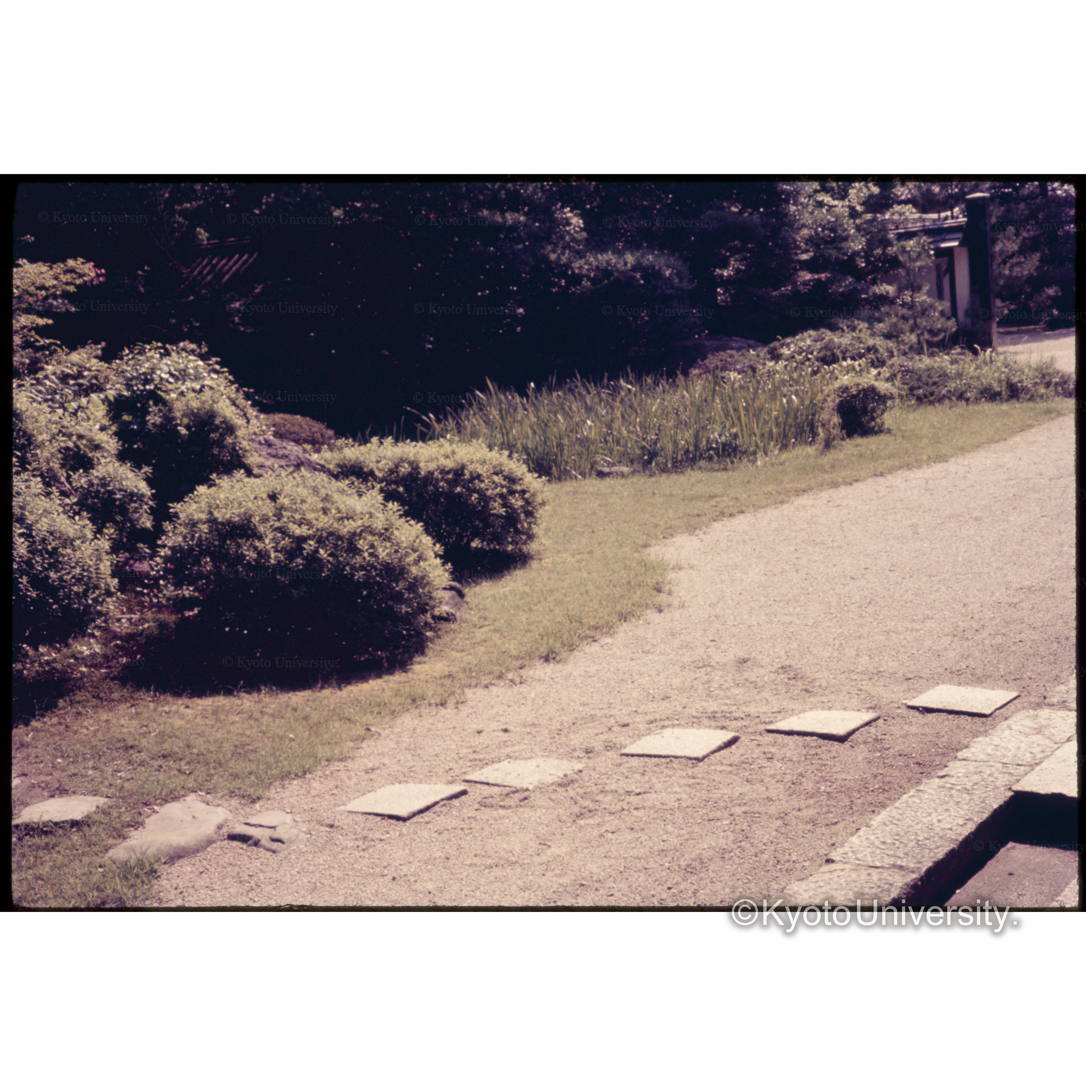 知恩院方丈庭園 (1)