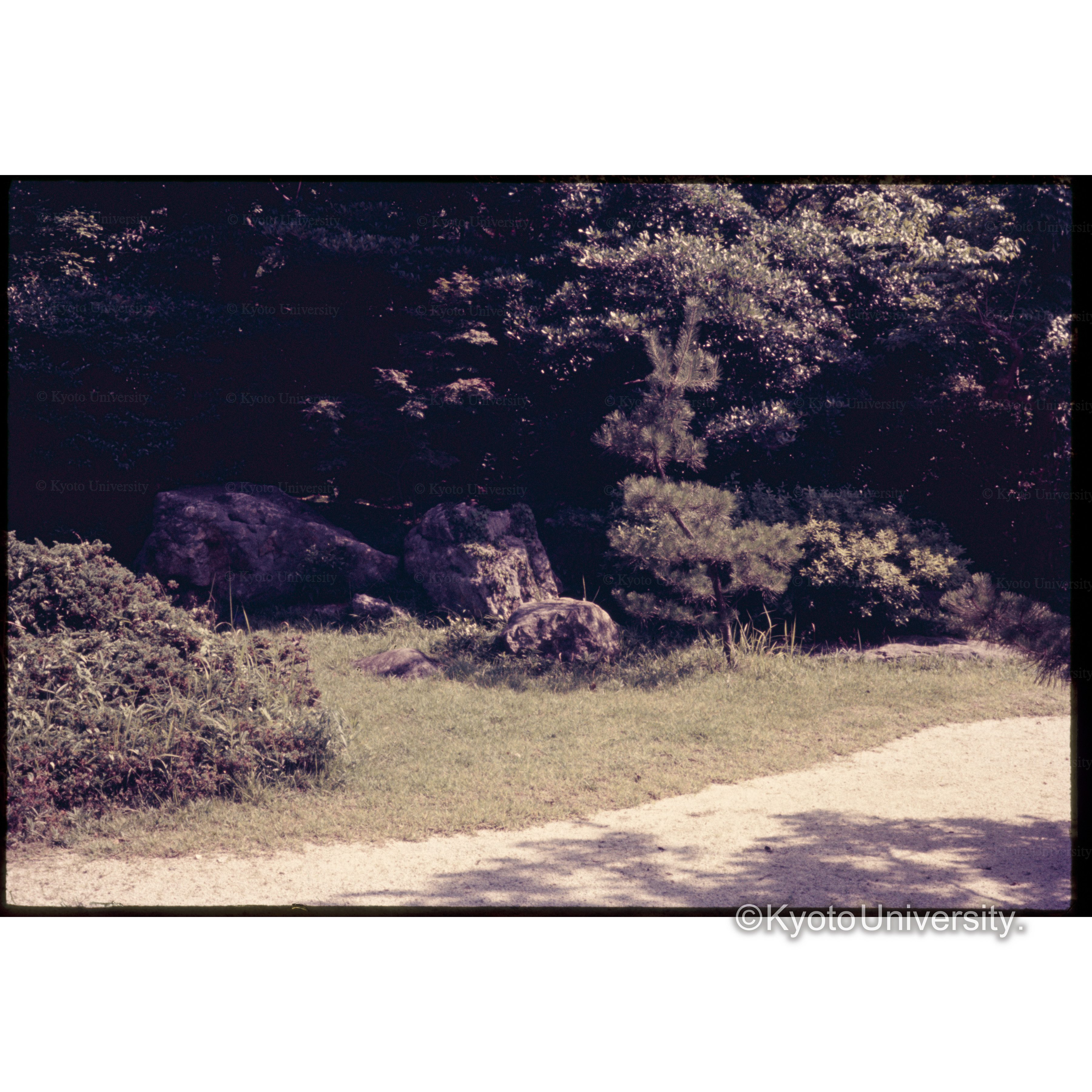 知恩院方丈庭園 (1)