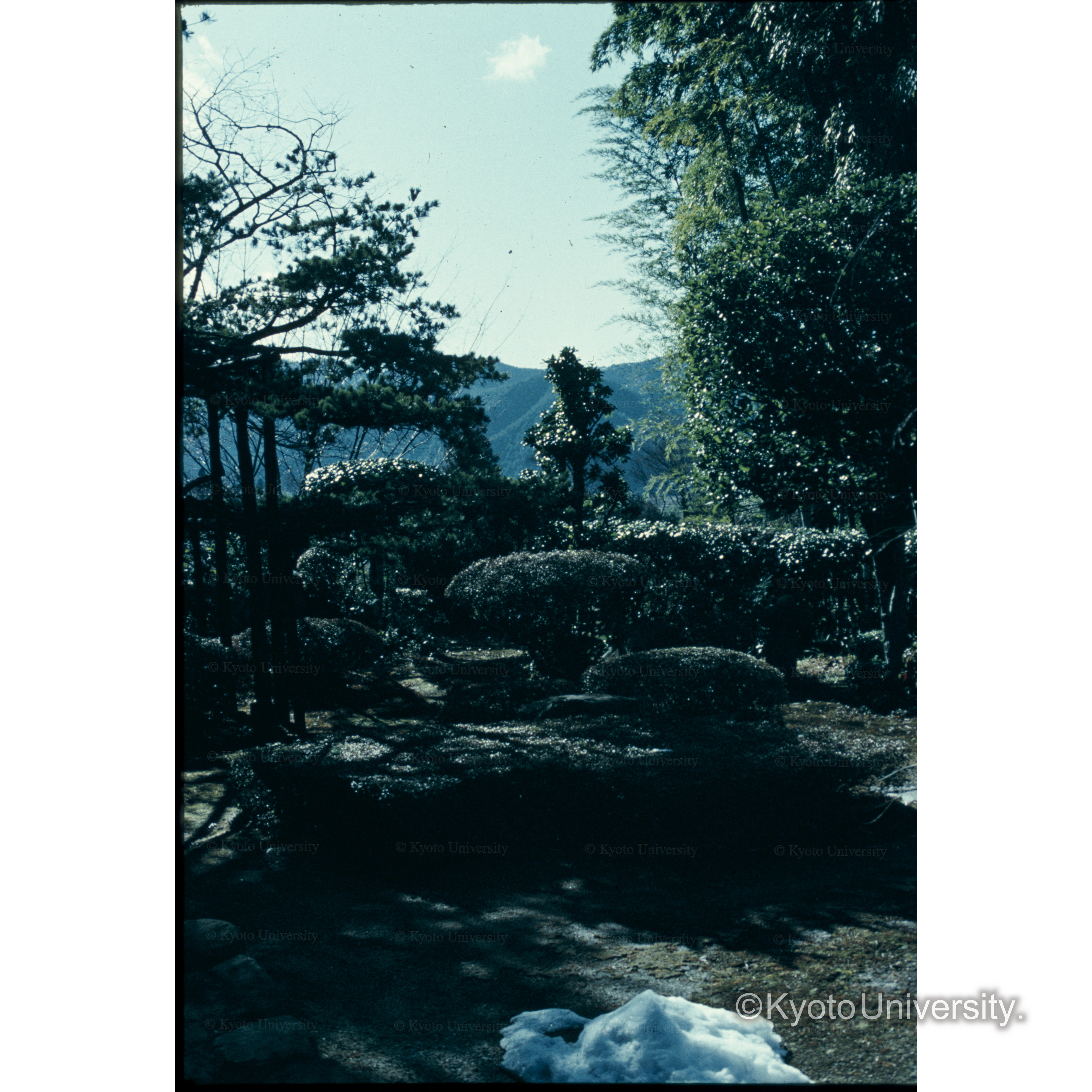 宝泉院（三千院） (1)