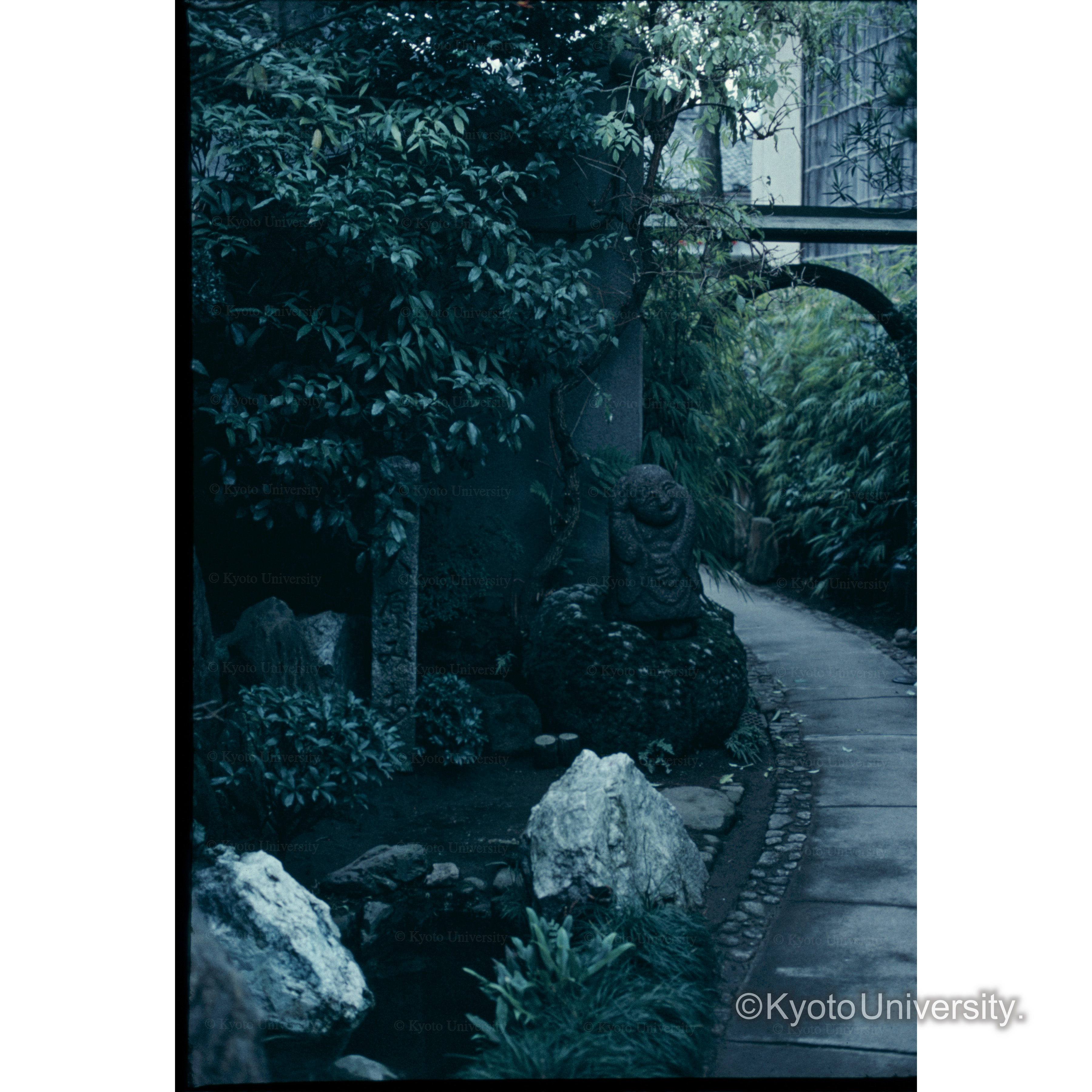 神御寺三氏化石の庭 (1)