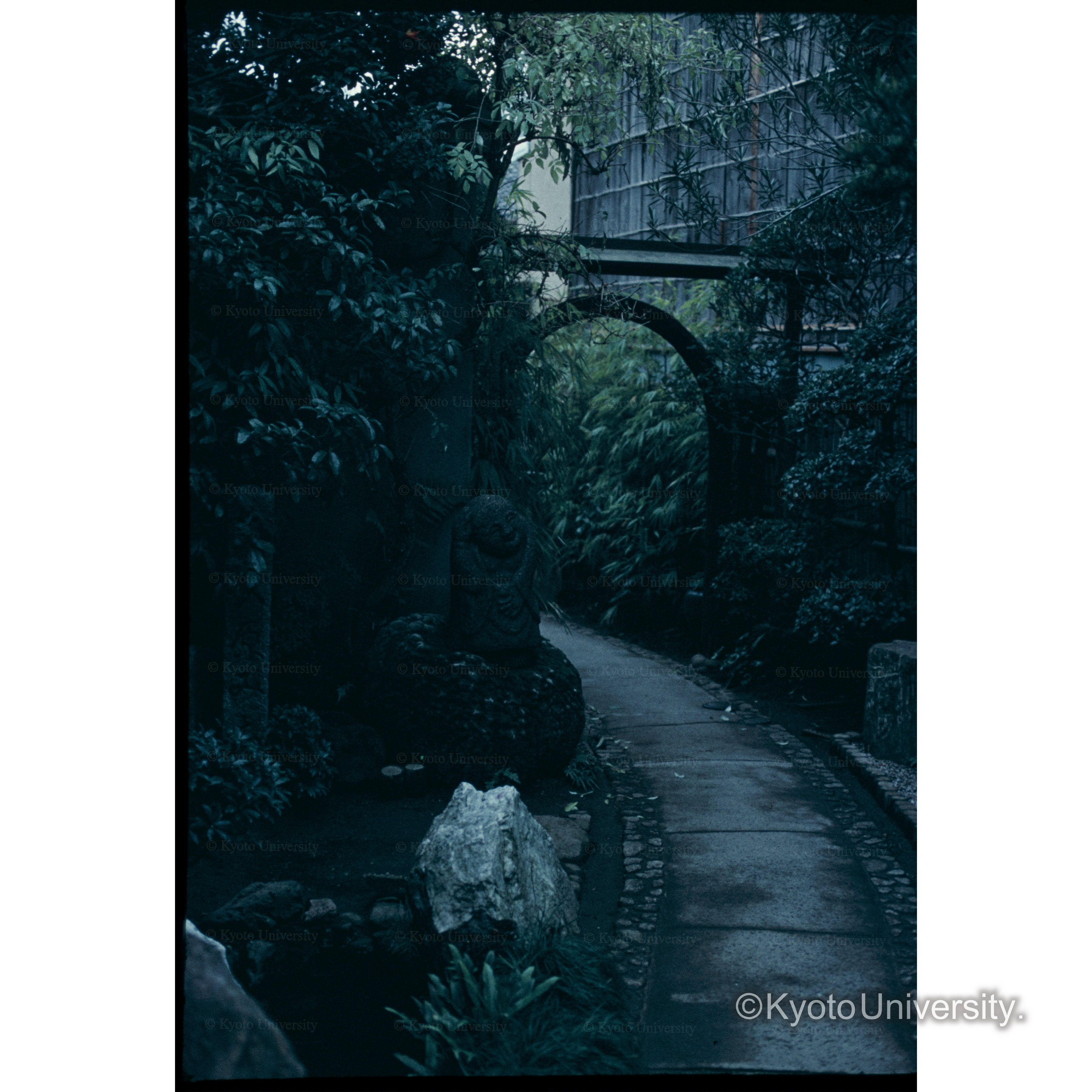 神御氏化石の庭 (1)