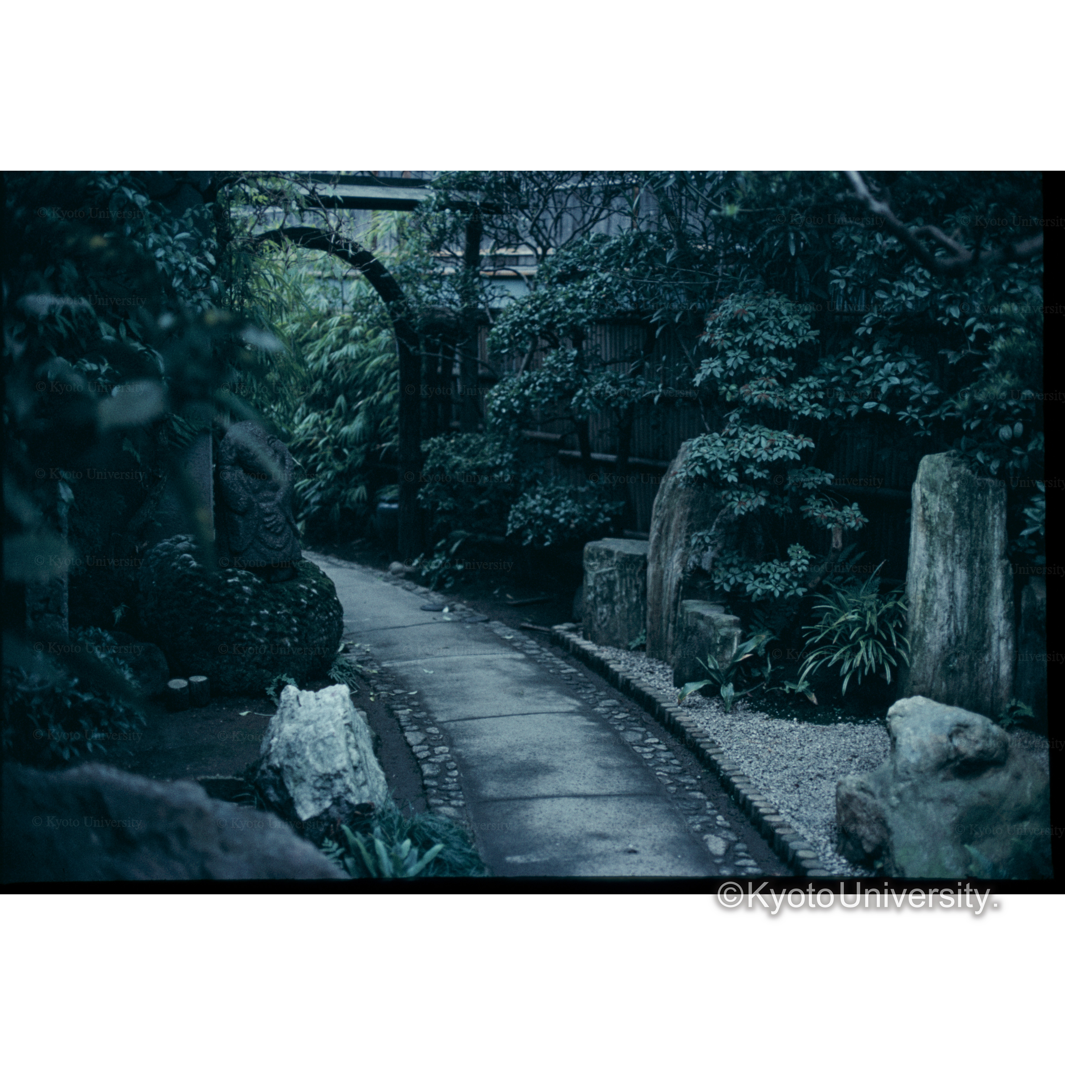 神御氏化石の庭 (1)