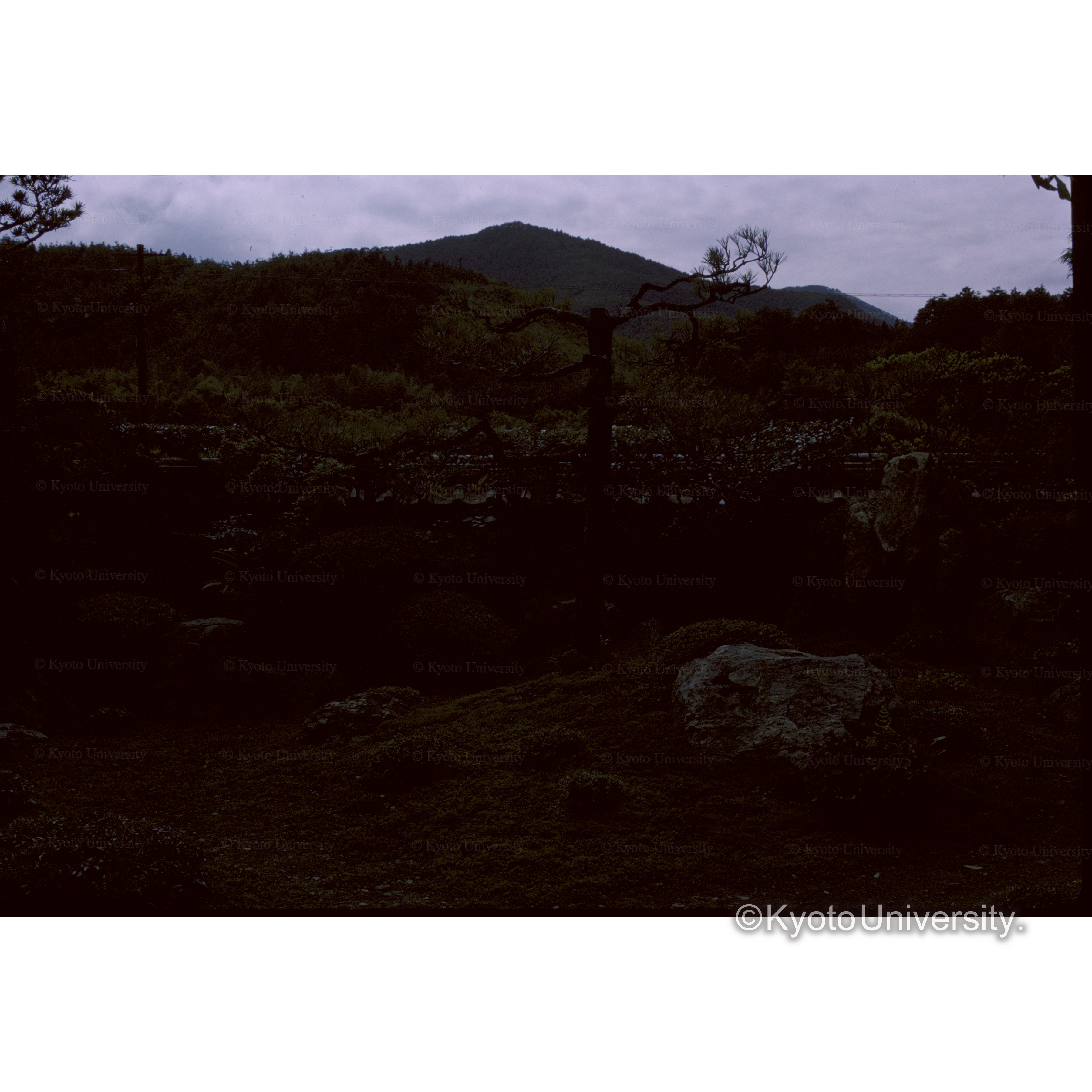 穴太寺（亀岡） (1)