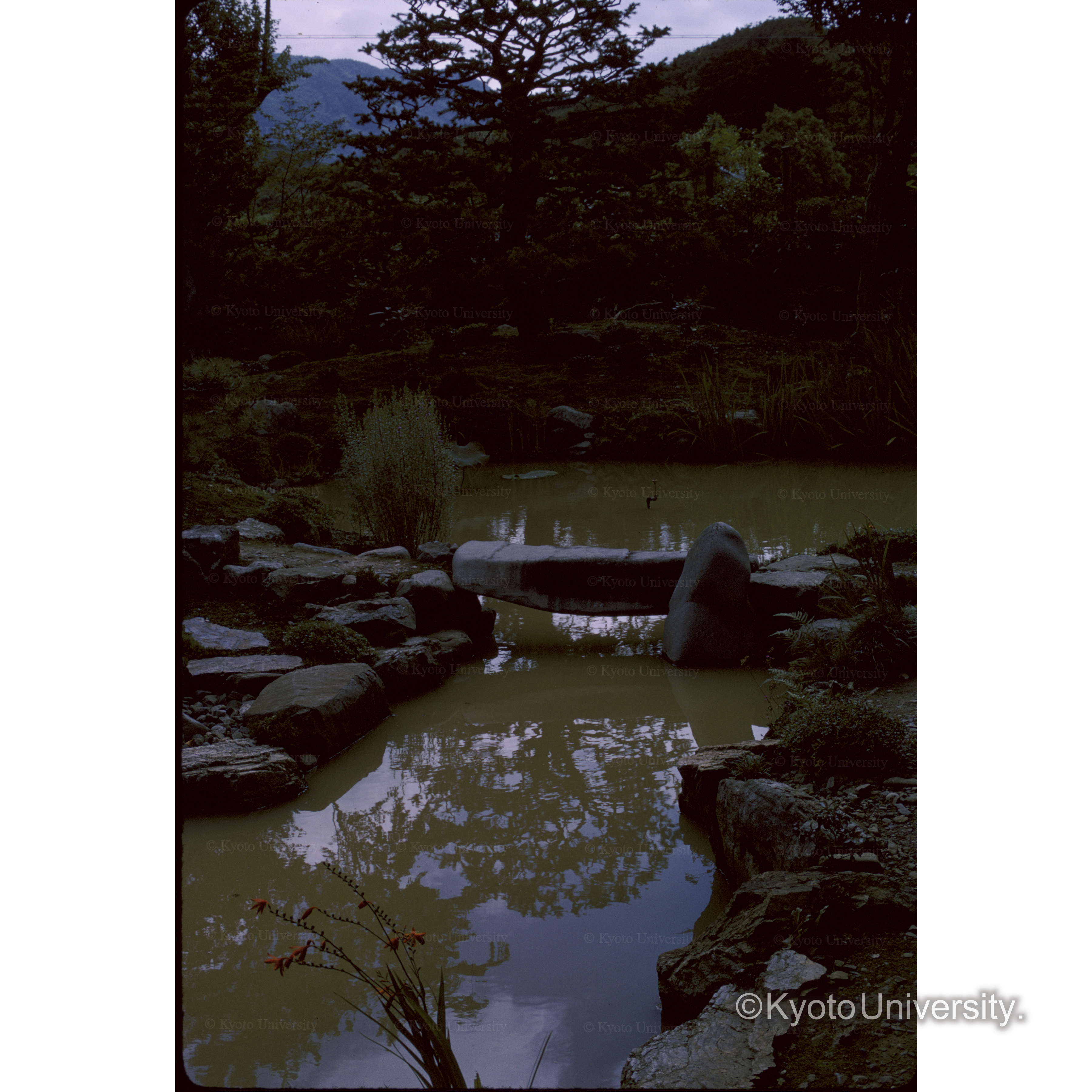 穴太寺（亀岡） (1)