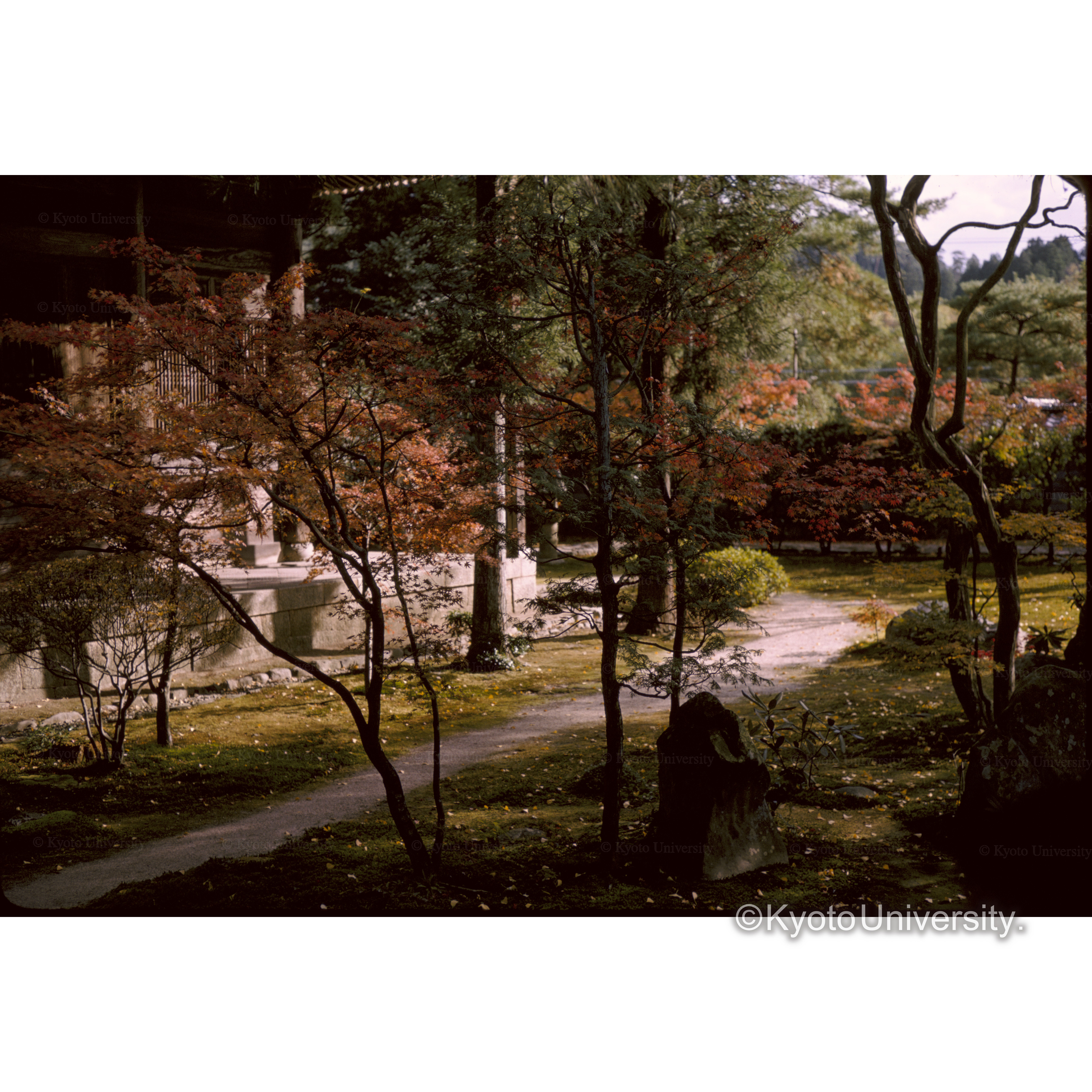 蓮花寺 (1)